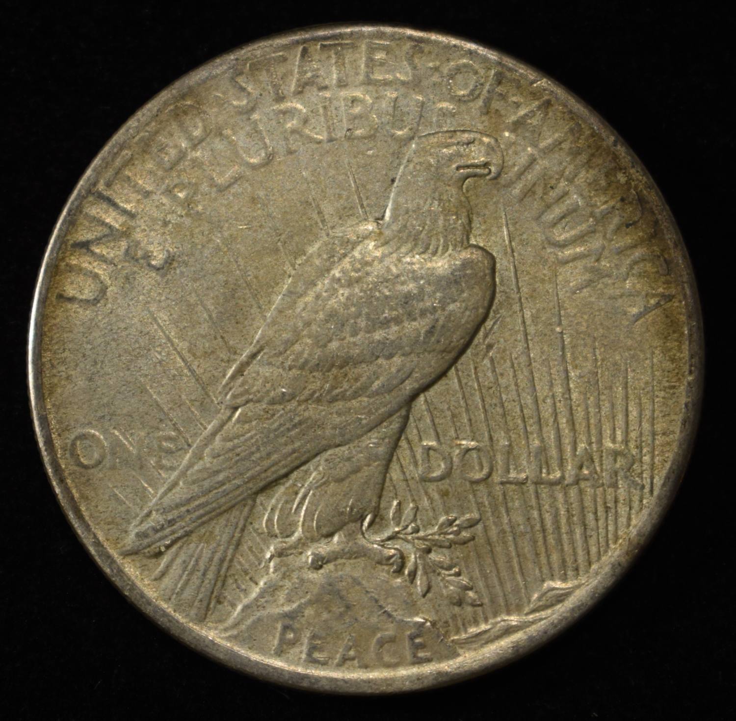 1925 PEACE DOLLAR NO-FEATHERS