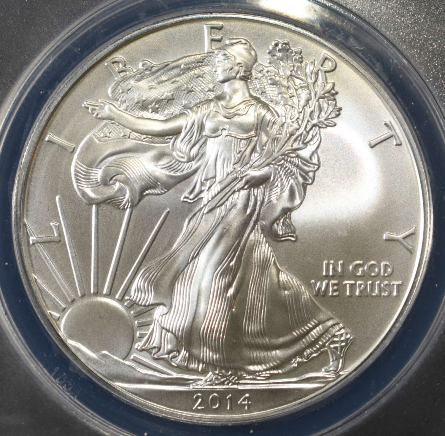 2014-W AMERICAN SILVER EAGLE MS 69 ANACS
