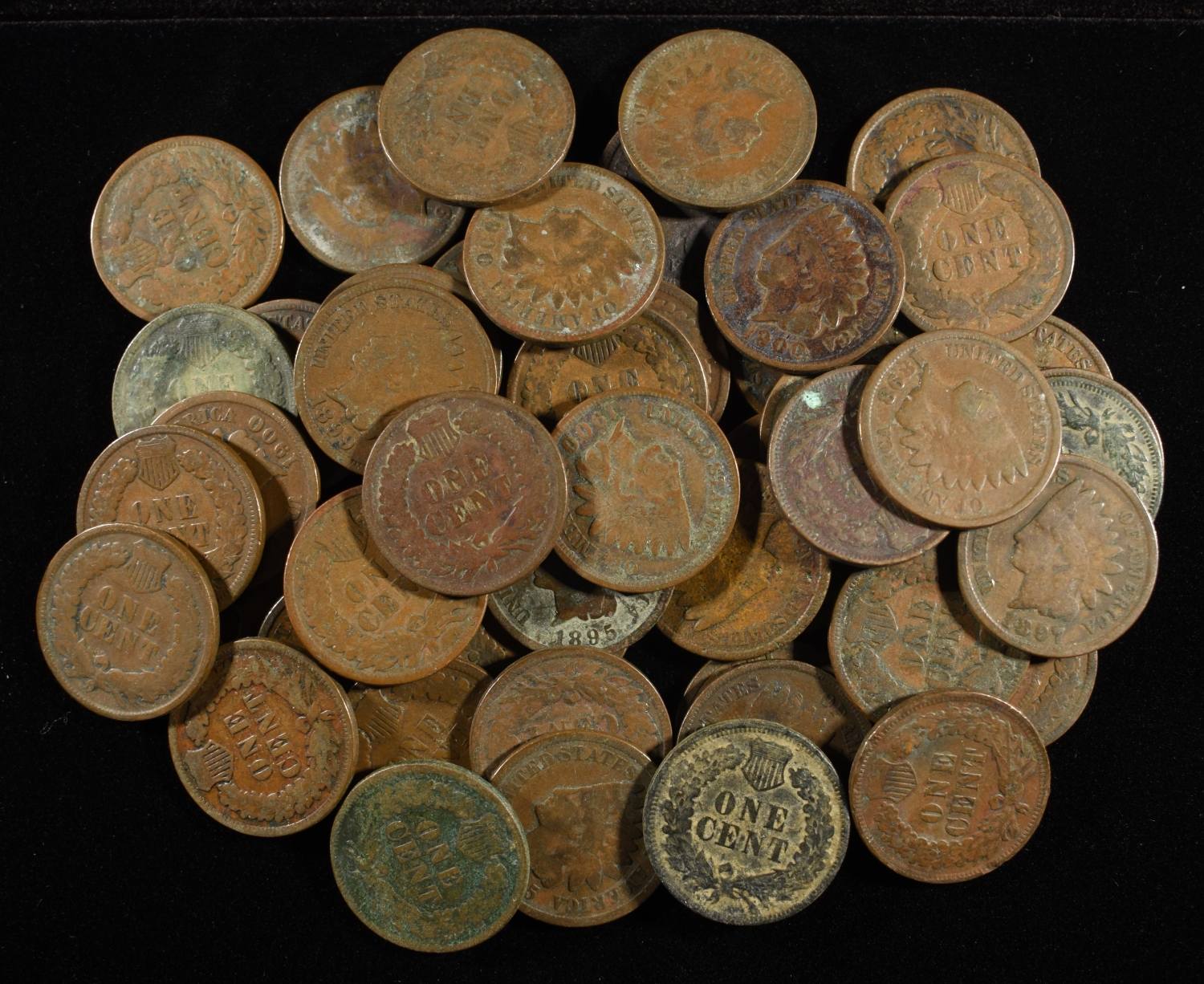 (50) INDIAN CENTS