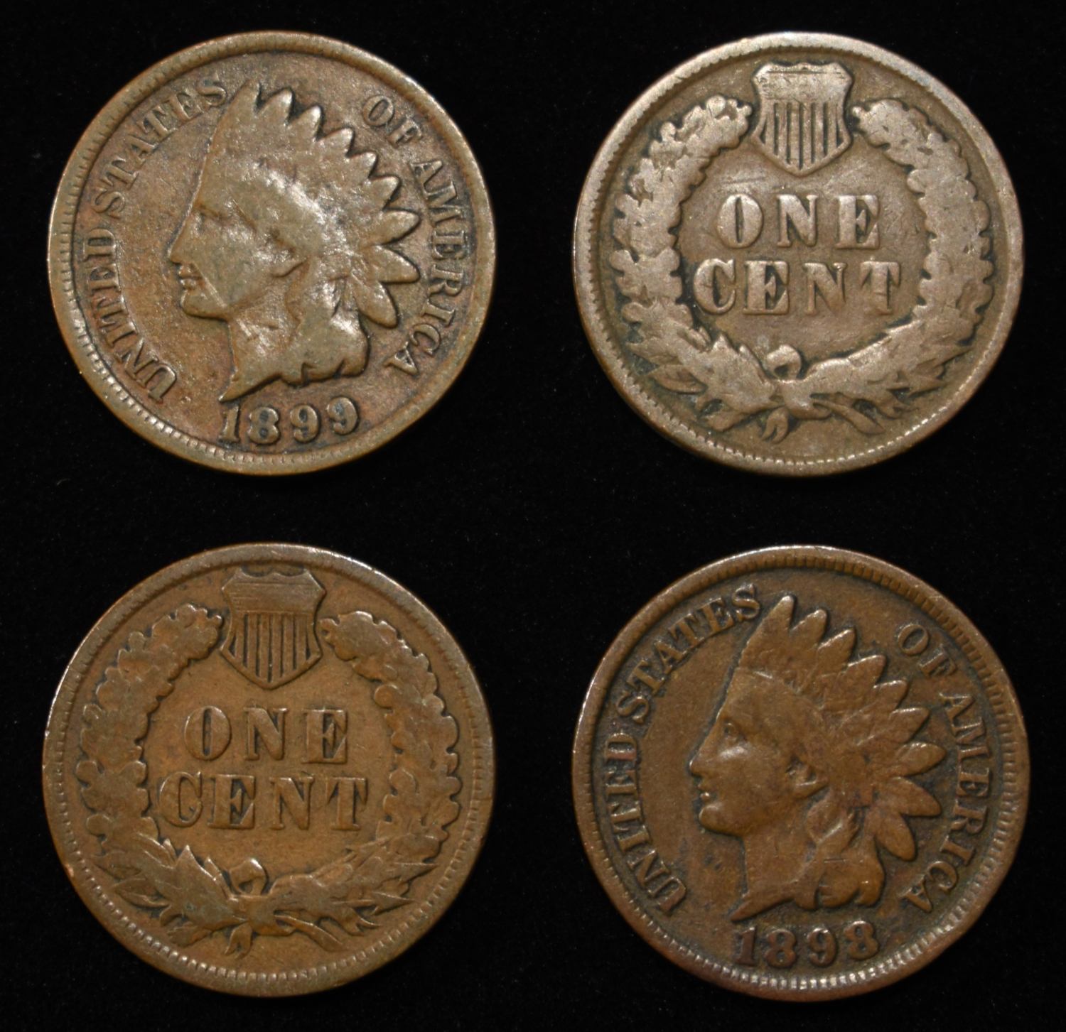 (50) INDIAN CENTS