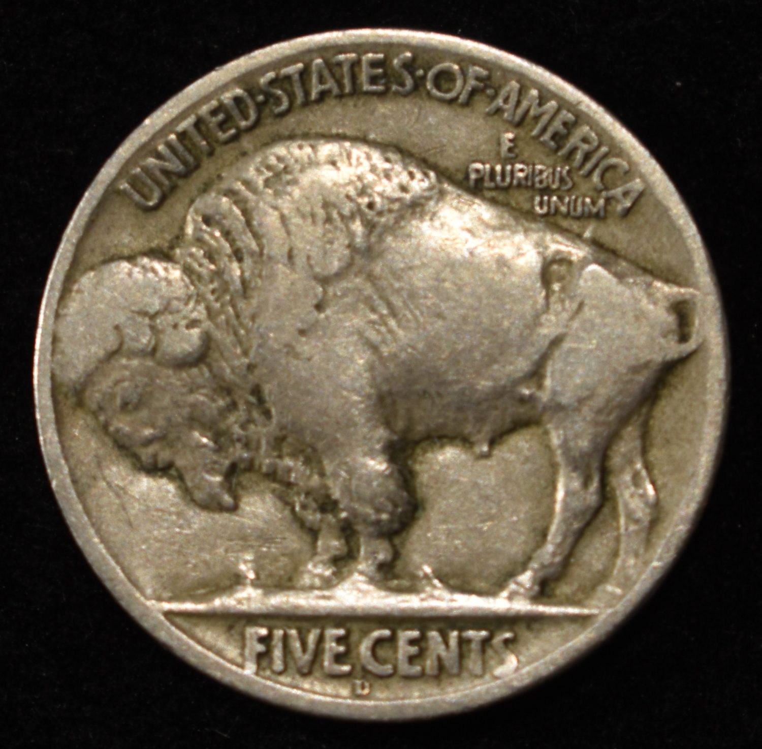 1924-D BUFFALO NICKEL VF/XF