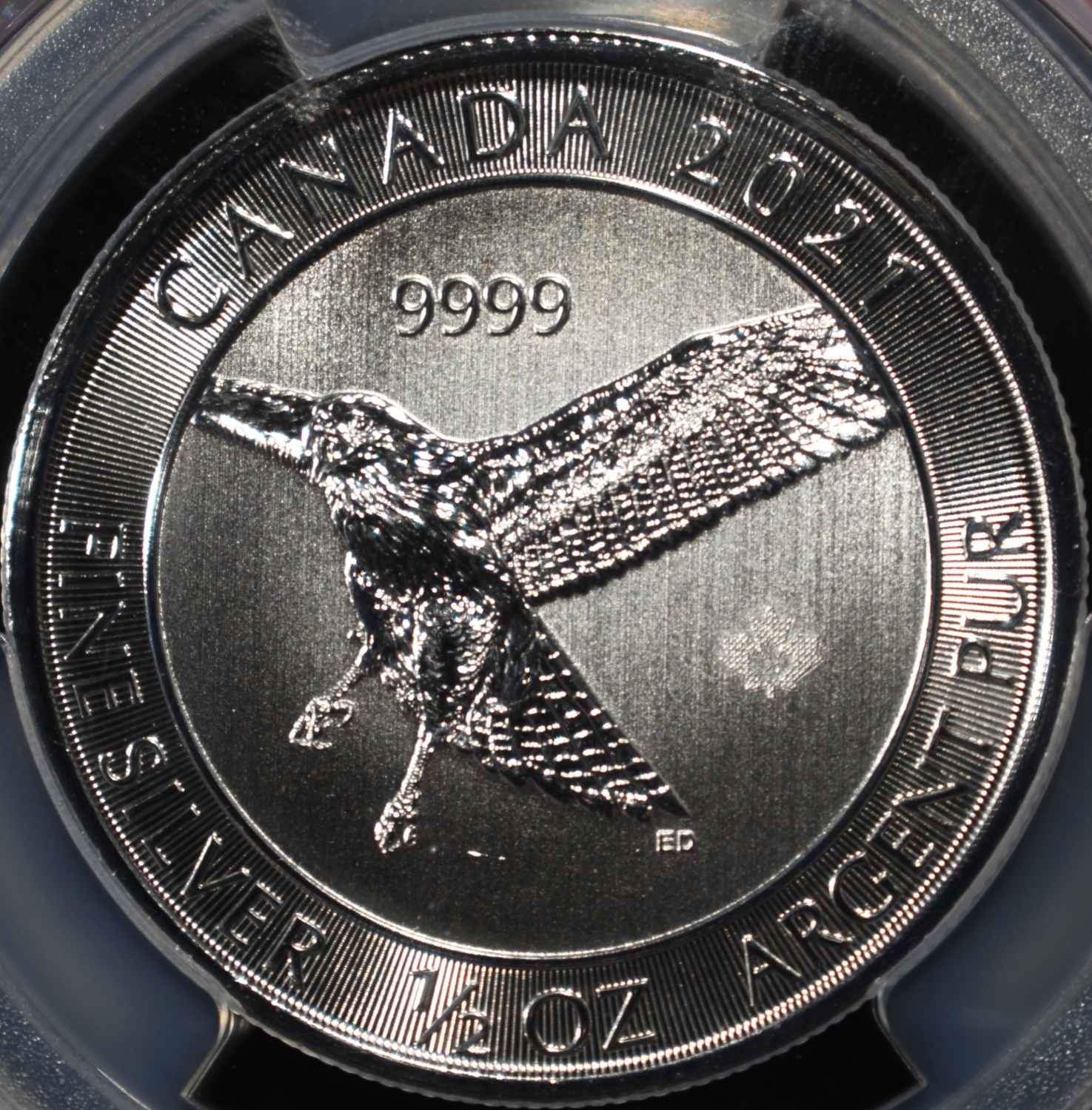 2021 CANADA RED-TAILED HAWK 1/2OZ SILVER PCGS MS69
