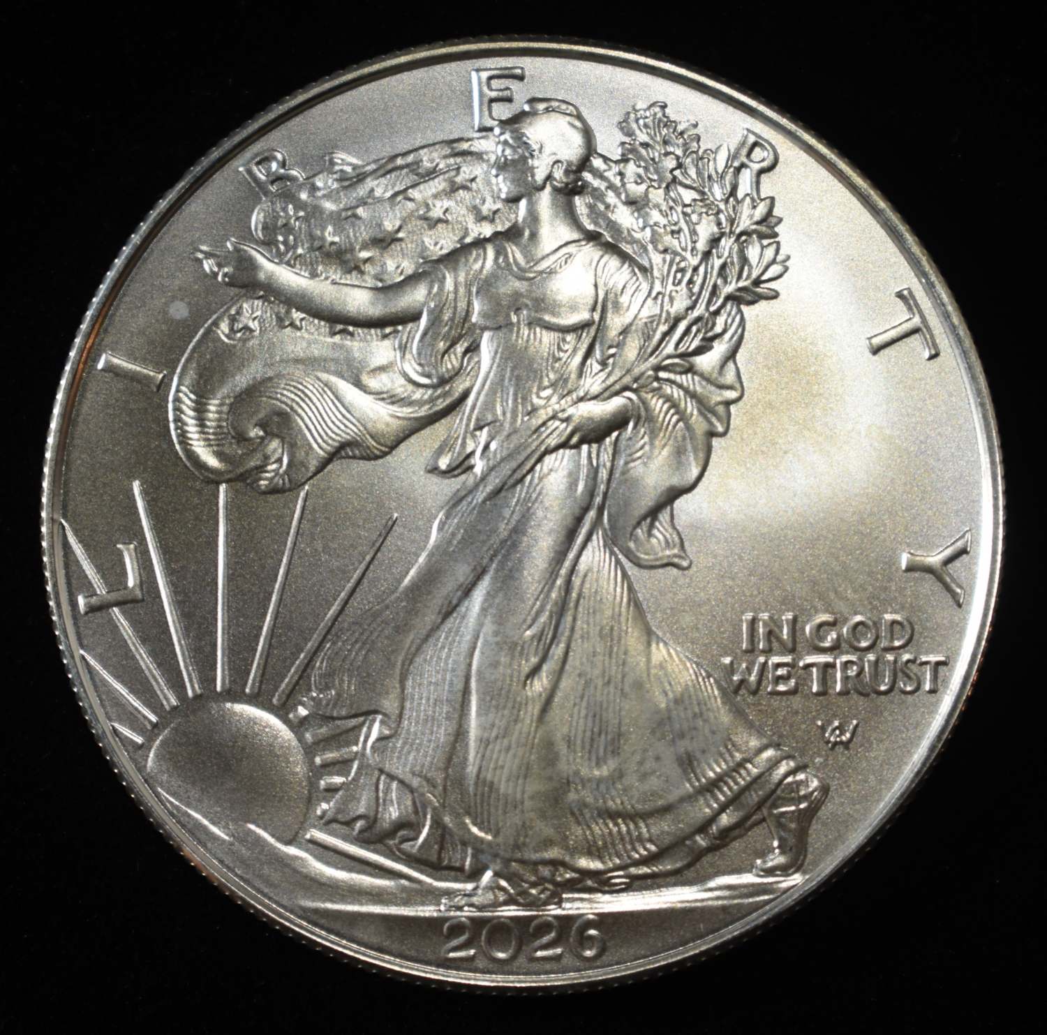 2026 AMERICAN SILVER EAGLE