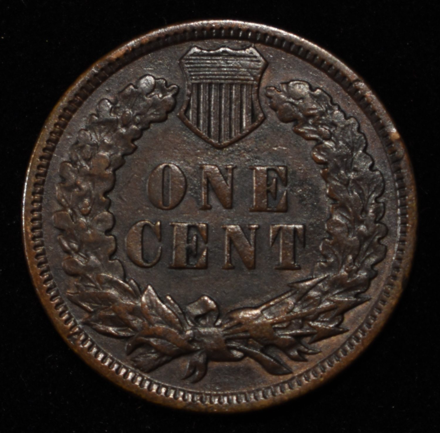 1895 INDIAN HEAD CENT CH BU