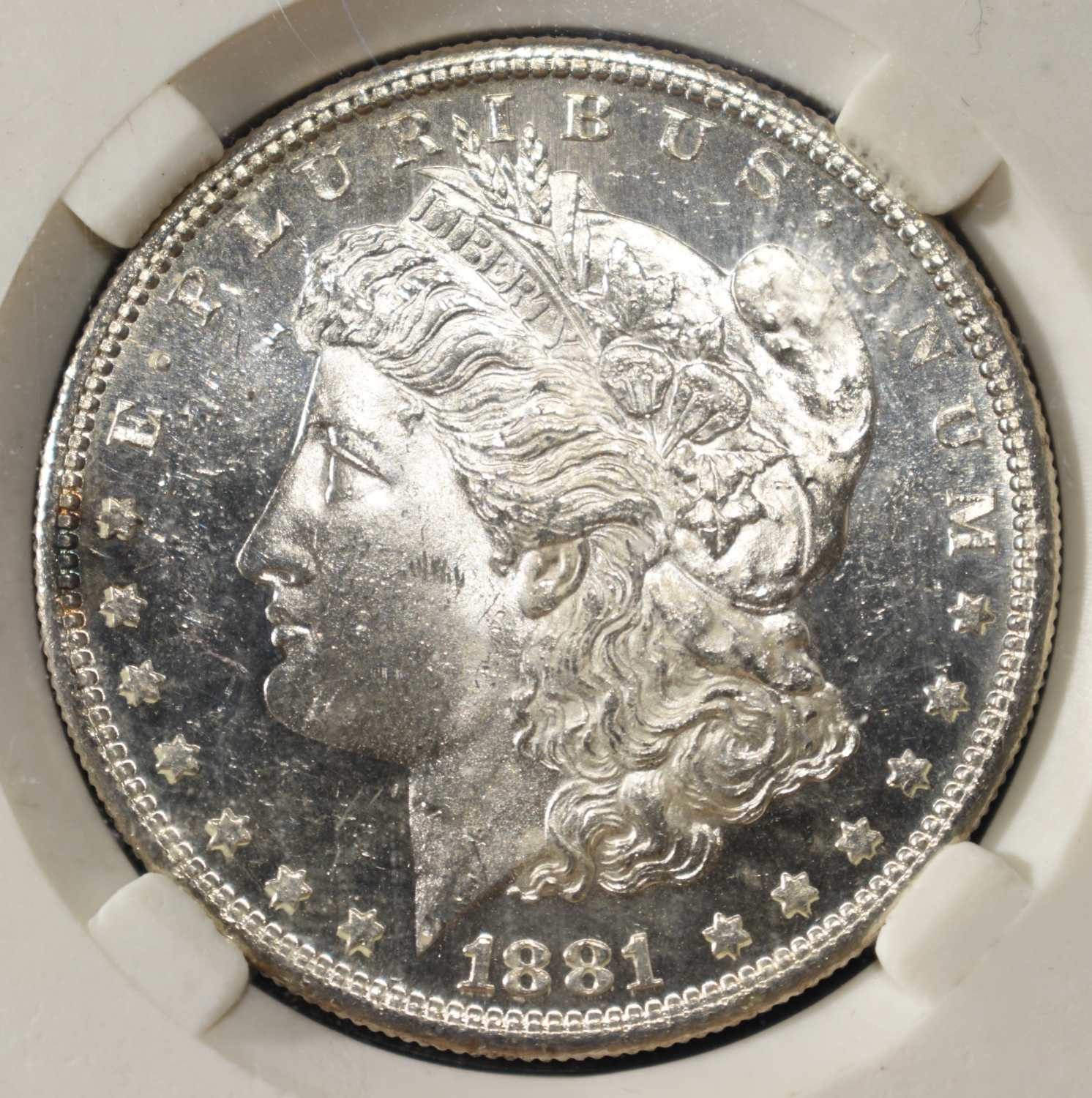 1881-S MORGAN DOLLAR PGA SUPERB GEM BU DMPL