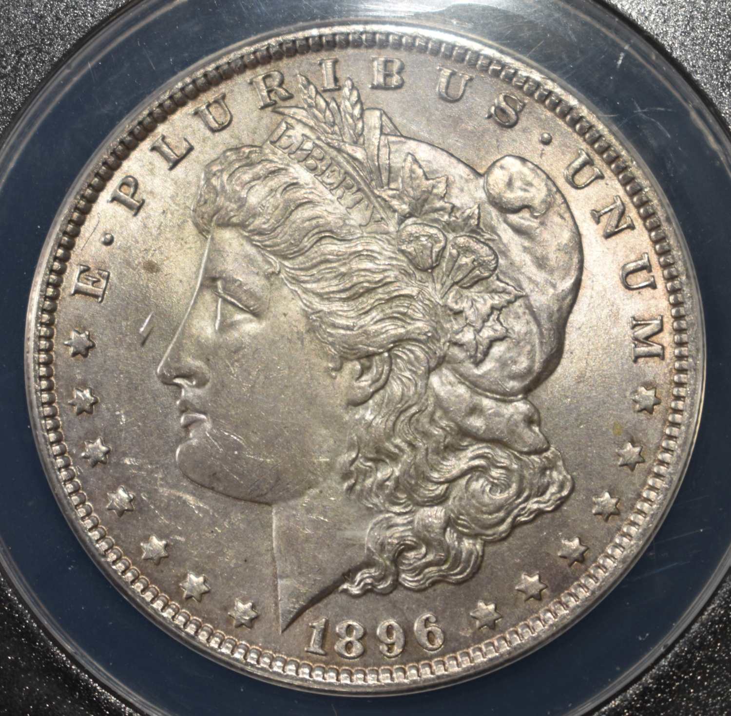 1896 MORGAN DOLLAR MS 62 ANACS