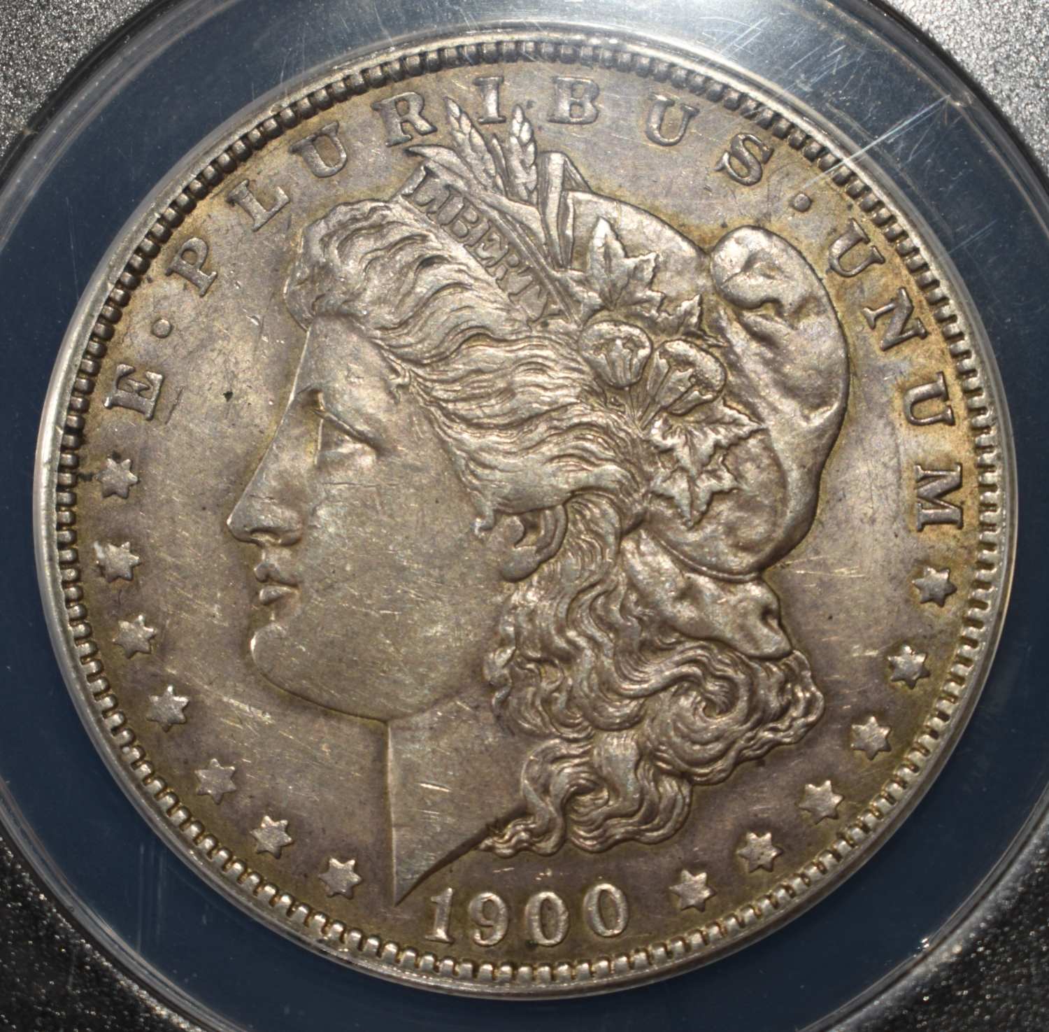 1900 MORGAN DOLLAR AU 53 DETAILS ANACS