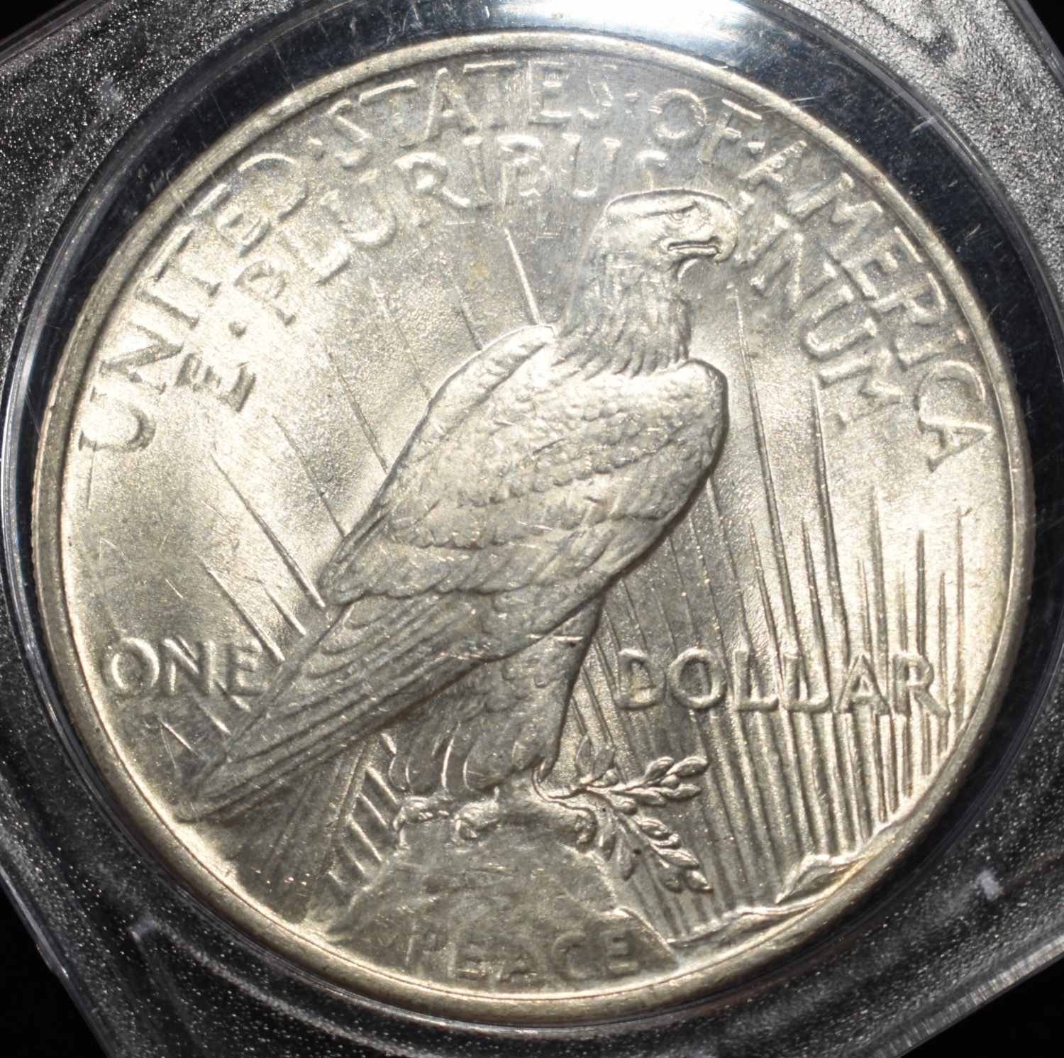 1924 PEACE DOLLAR W-FEATHERS