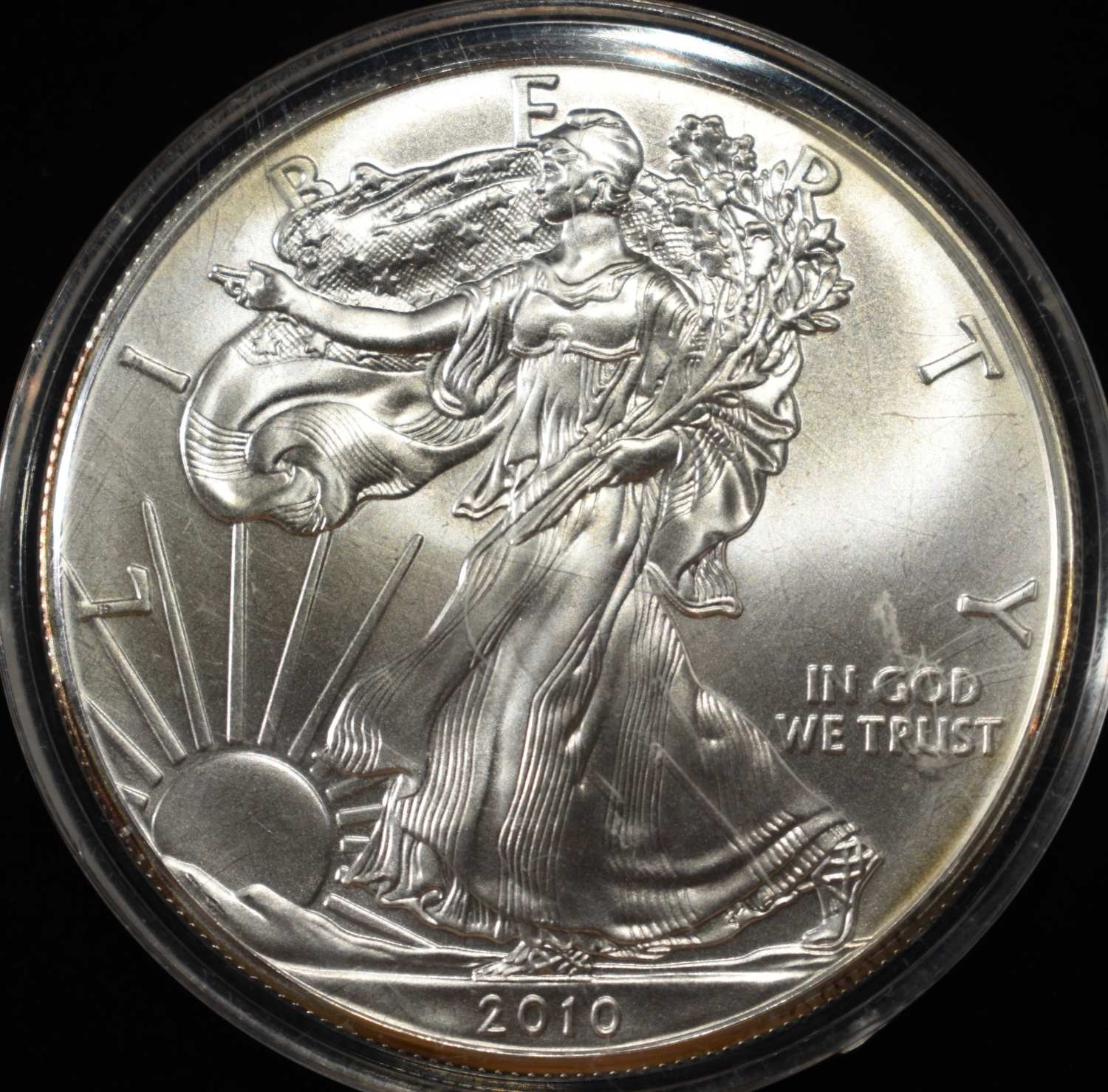 2010 AMERICAN SILVER EAGLE