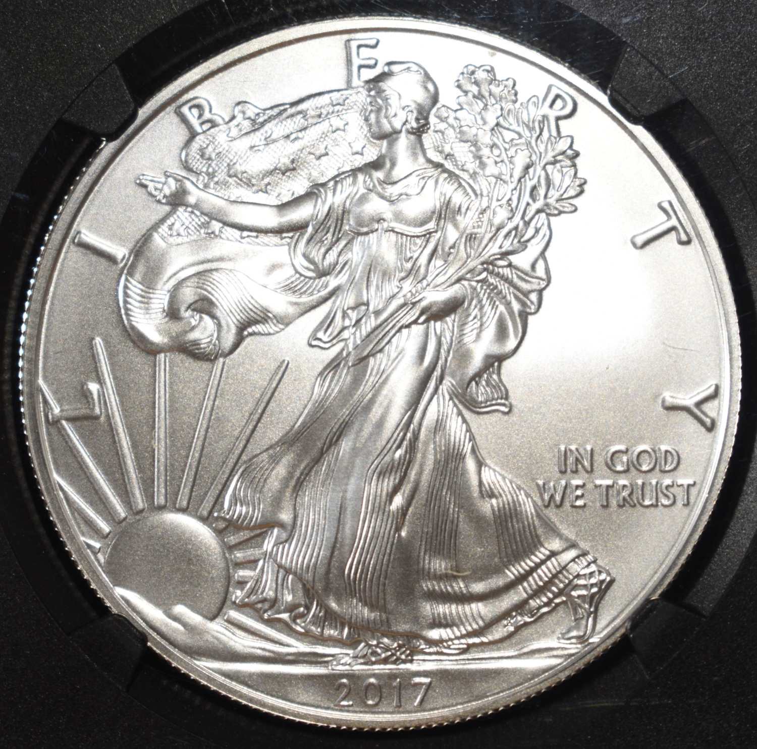 2017-W AMERICAN SILVER EAGLE NGC MS70 BURNISHED