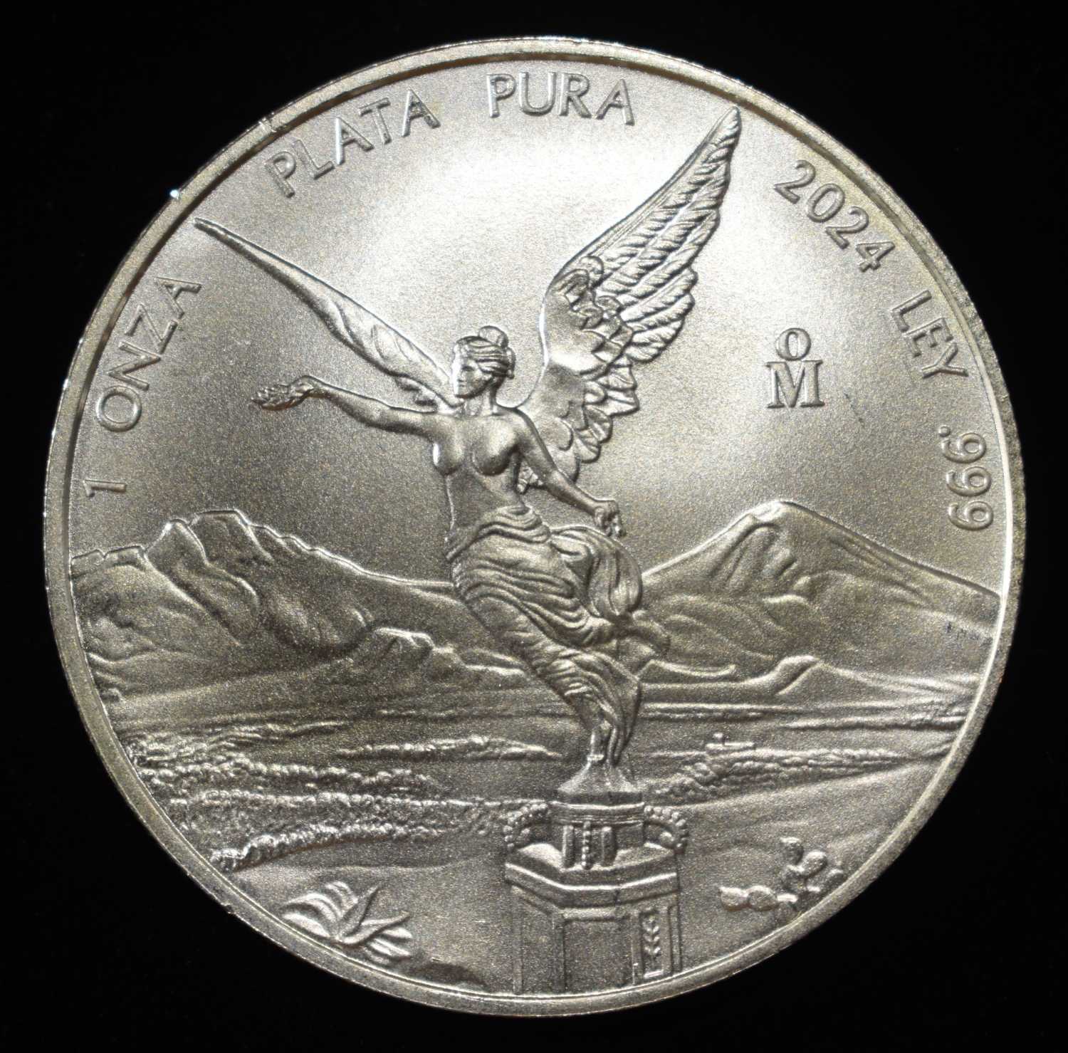2024 PLATA PURA 1 OZ .999 SILVER ROUND