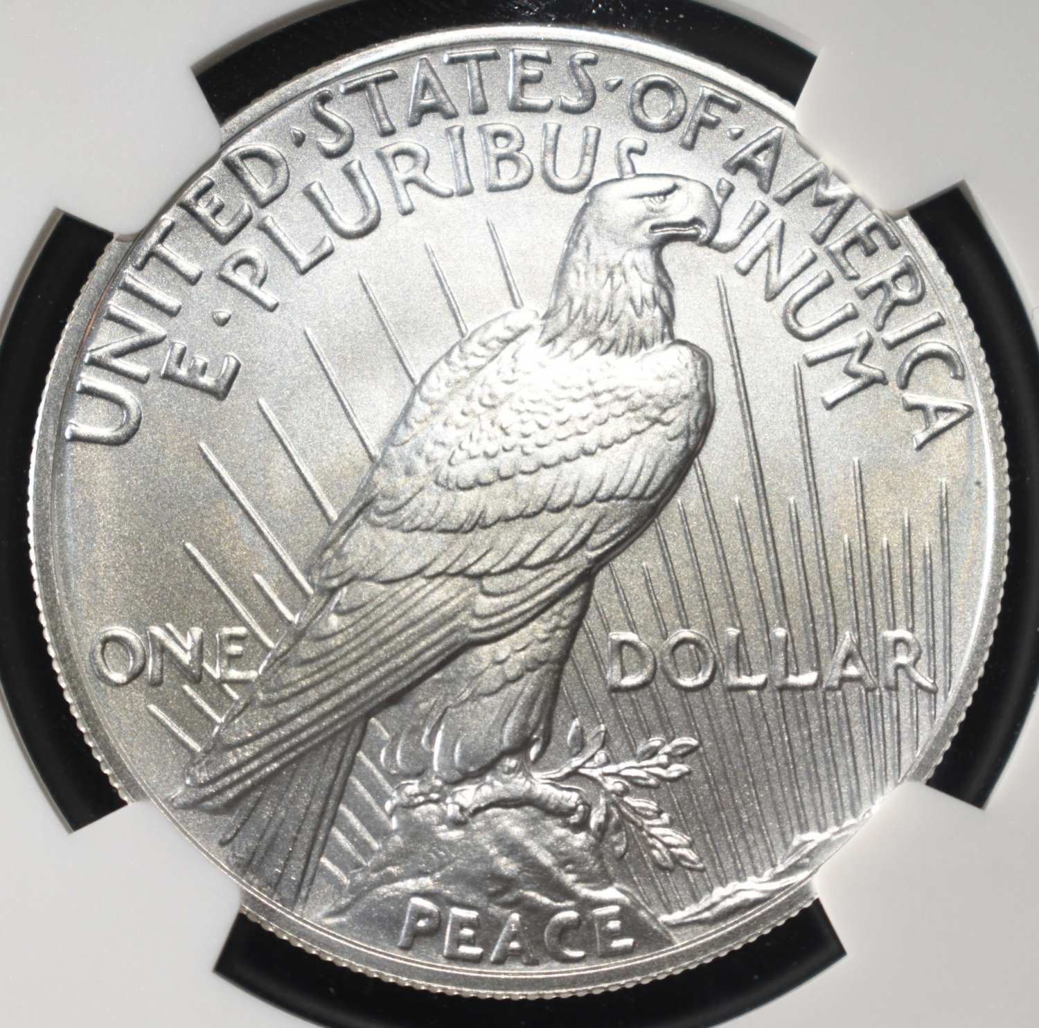 2024 PEACE DOLLAR NGC MS70 EARLY RELEASES
