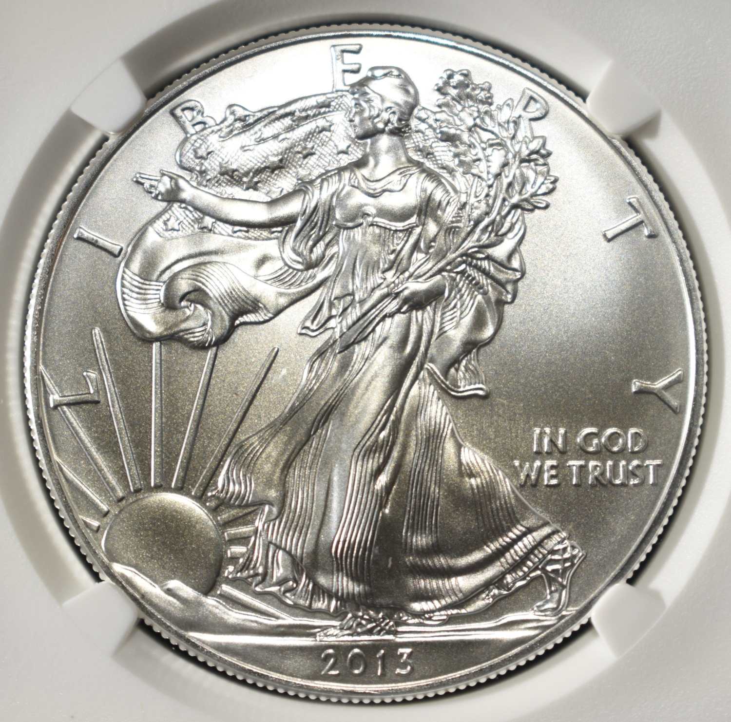 2013 AMERICAN SILVER EAGLE NGC MS69
