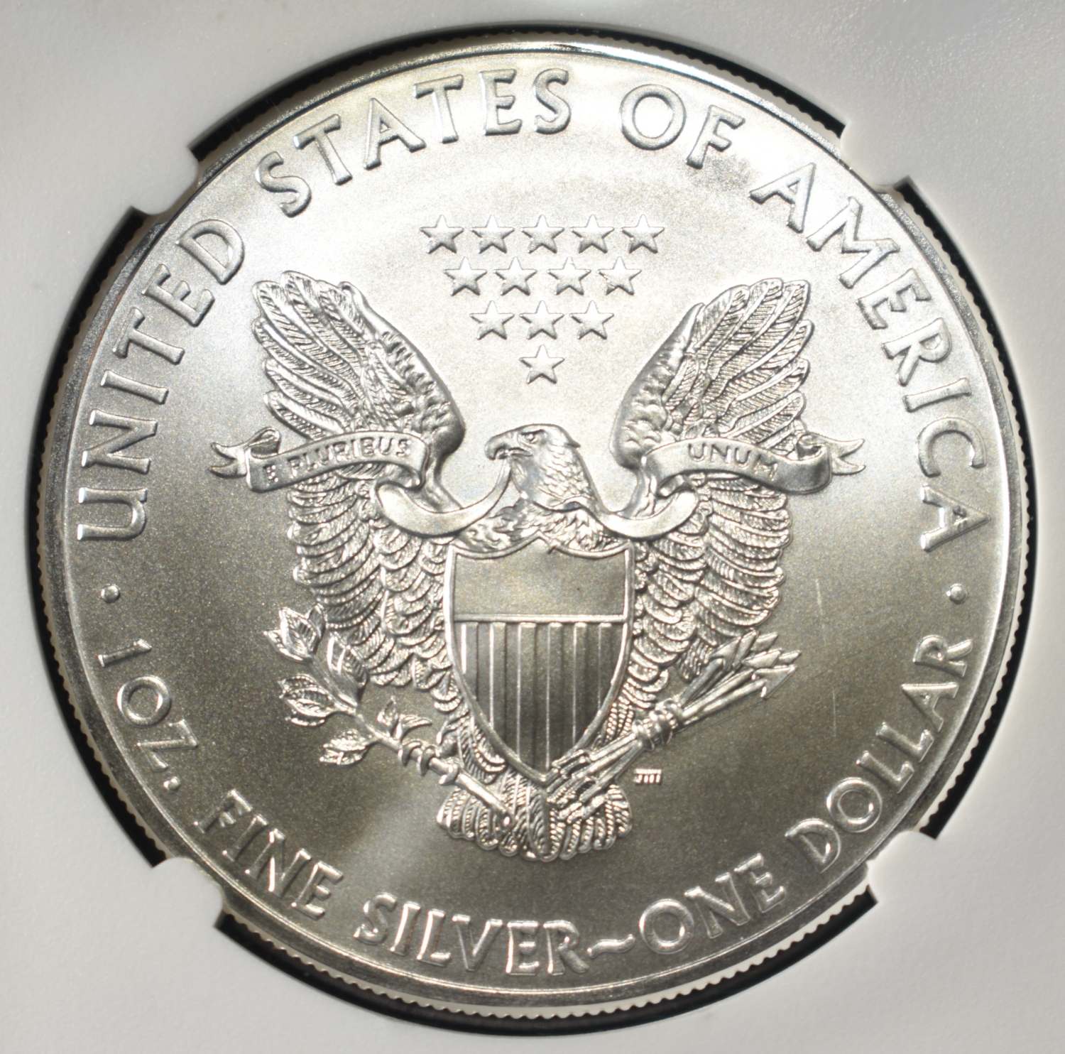 2013 AMERICAN SILVER EAGLE NGC MS69