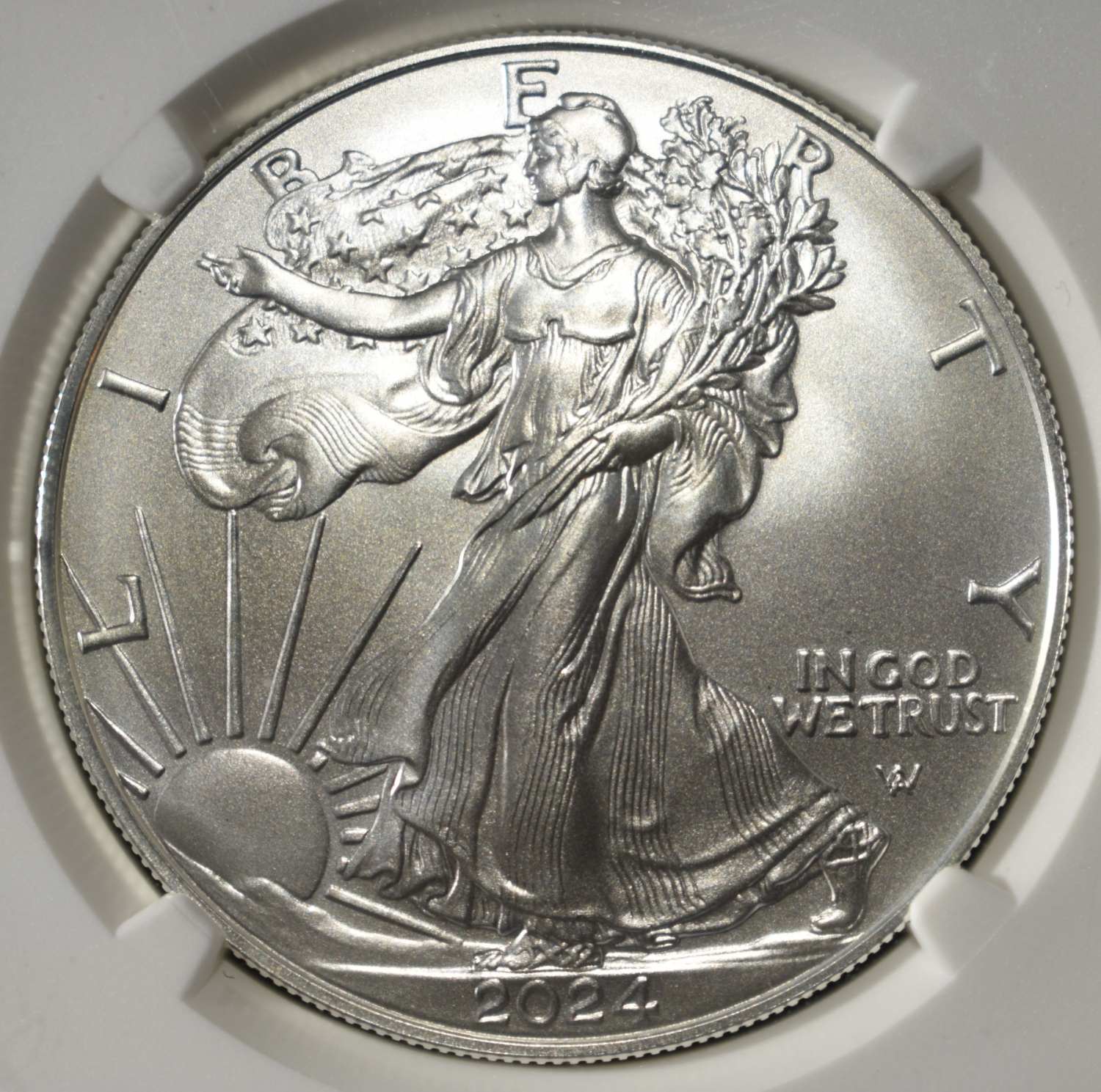 2024 AMERICAN SILVER EAGLE NGC MS70