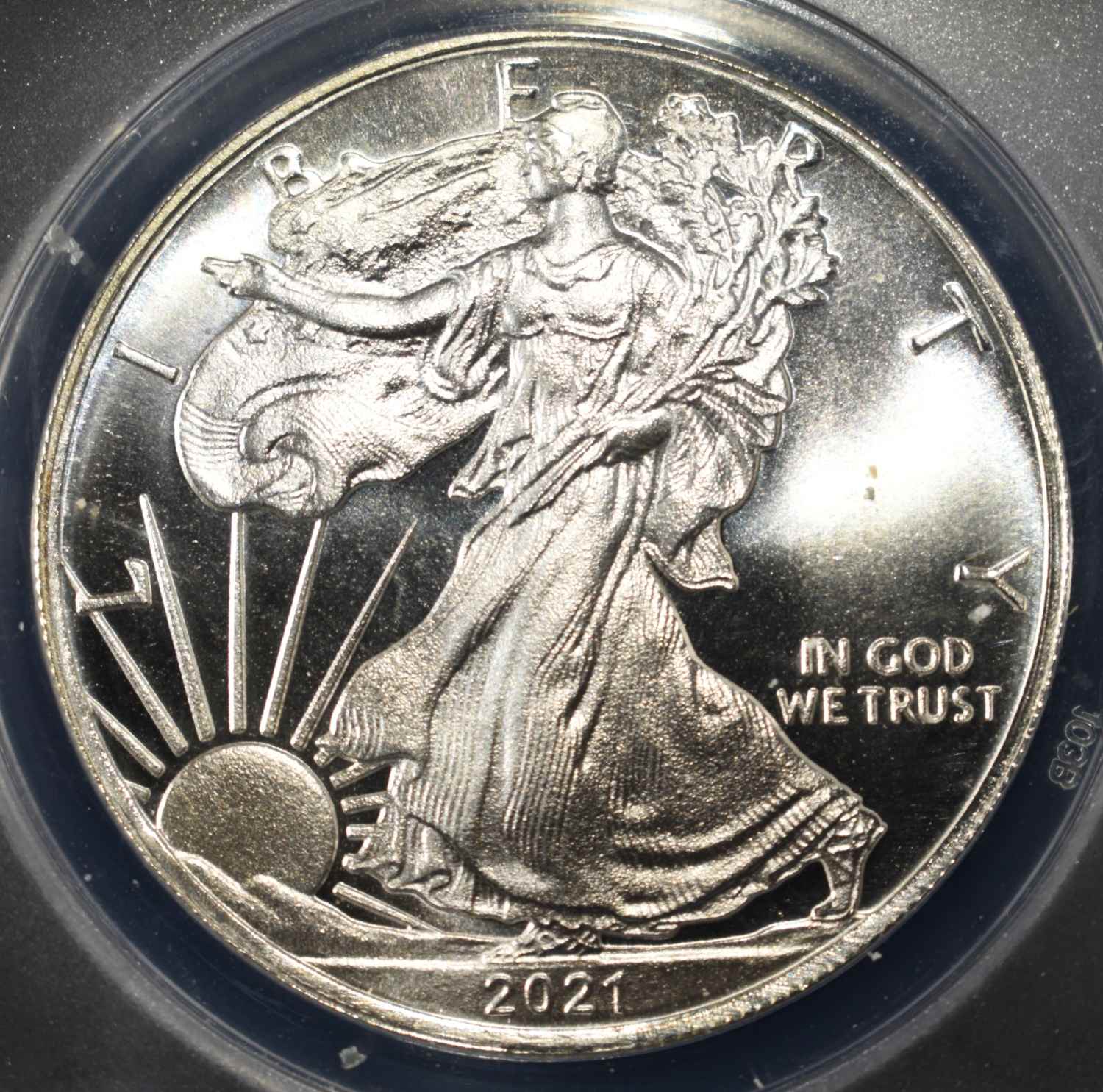 2021-CC CONCEPT DOLLAR 1 OZ .999 ANACS MS69