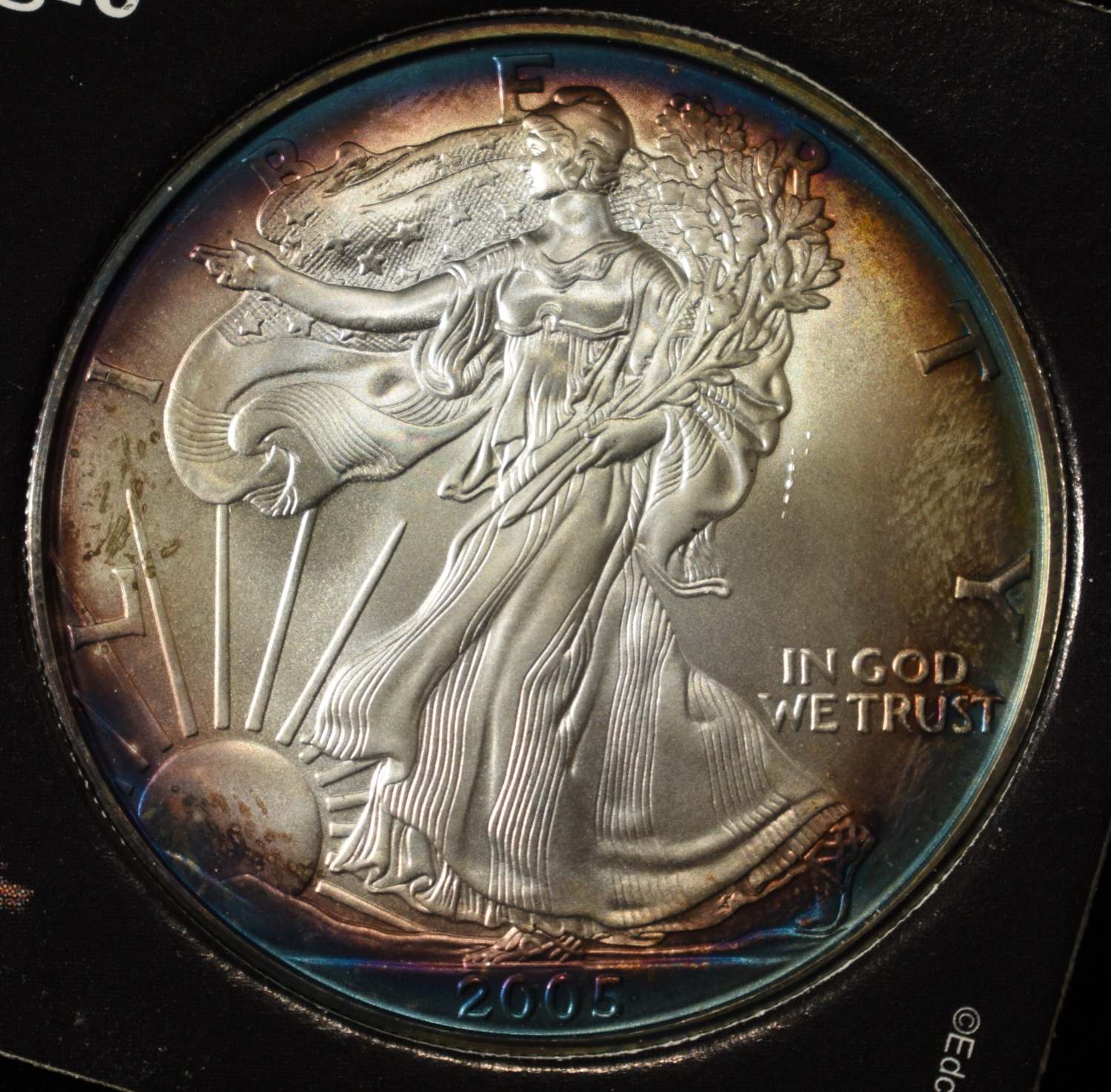 2005 AMERICAN SILVER EAGLE