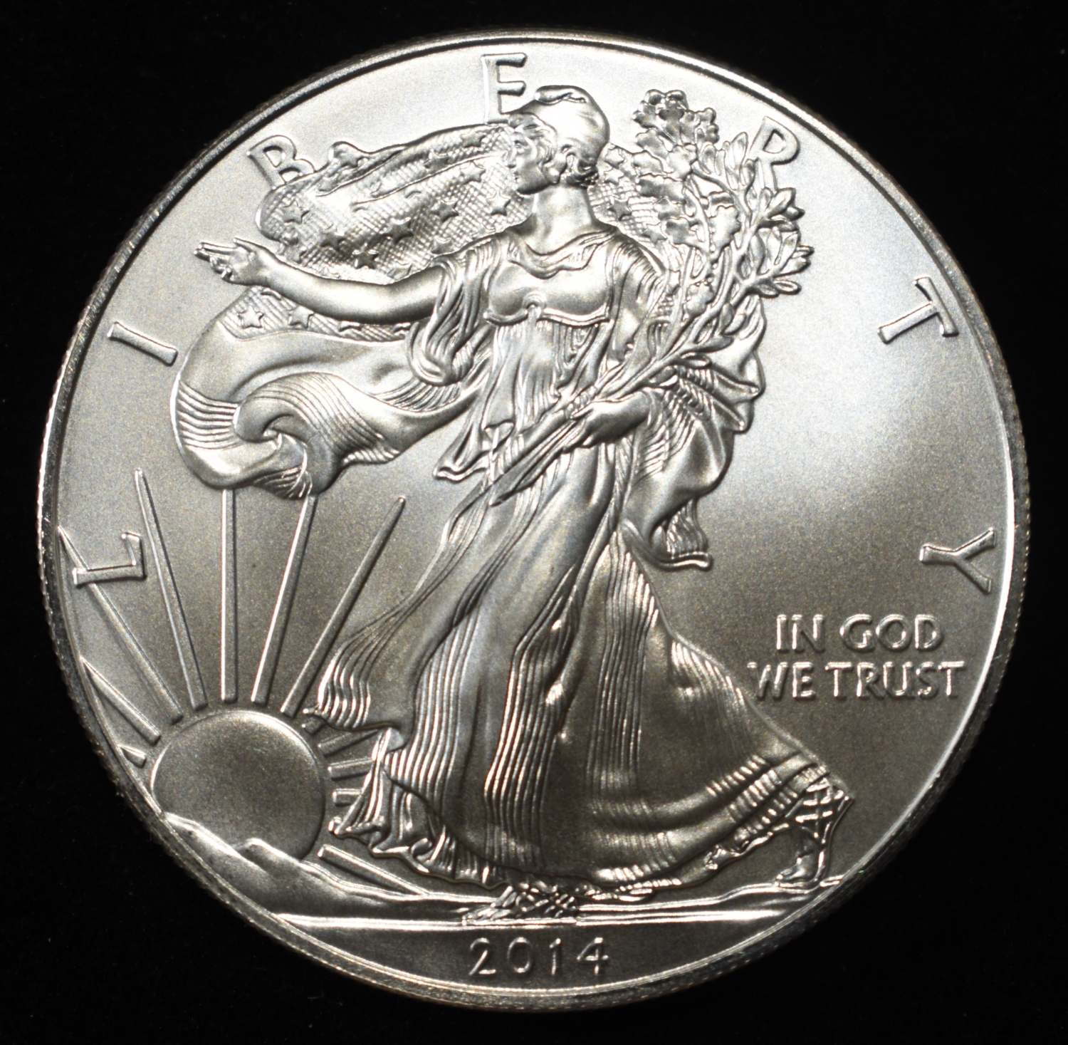2014 AMERICAN SILVER EGALE