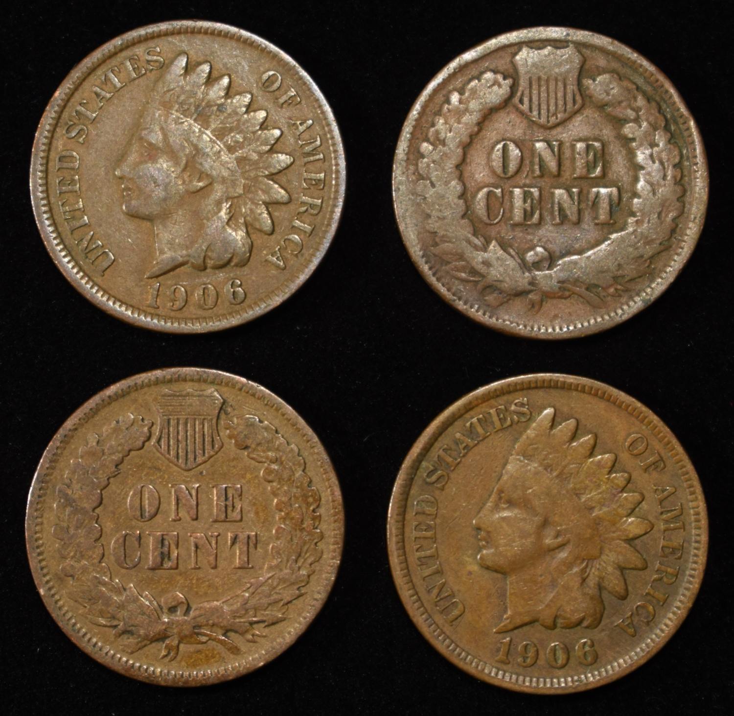 (50) INDIAN CENTS
