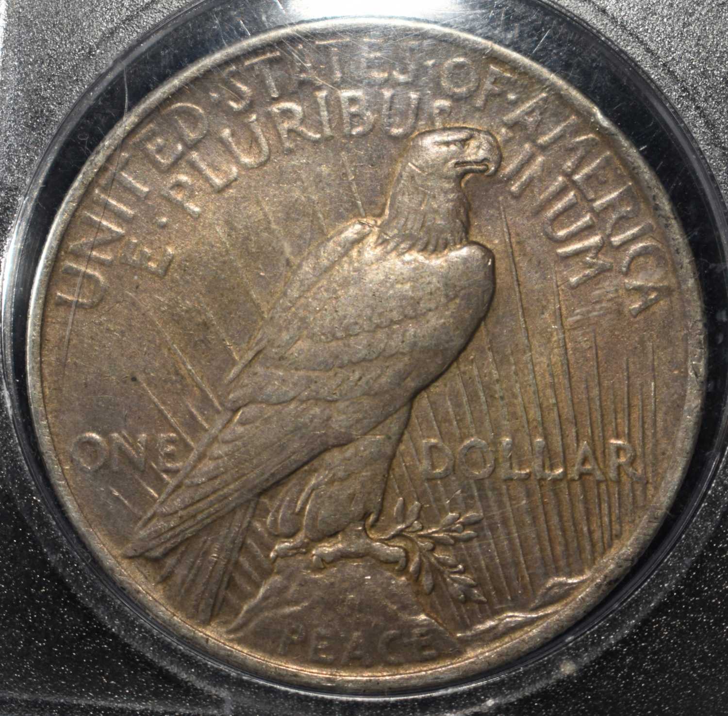1923 PEACE DOLLAR W-FEATHERS