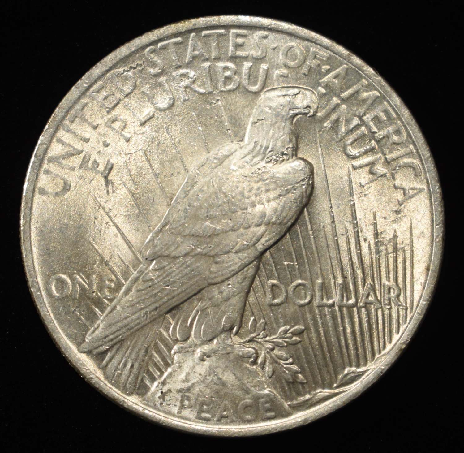 1924 PEACE DOLLAR W-FEATHERS