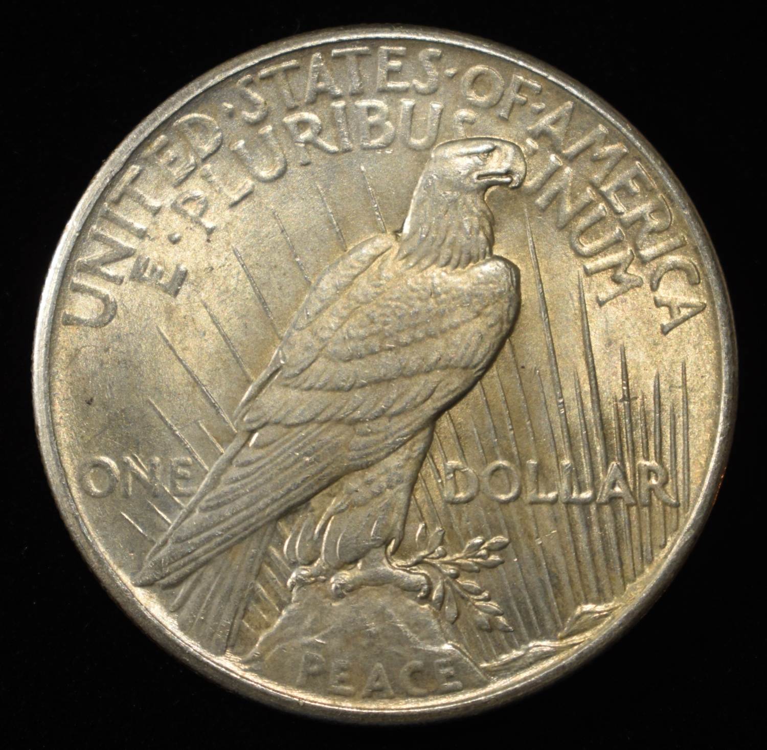 1925 PEACE DOLLAR NO-FEATHERS