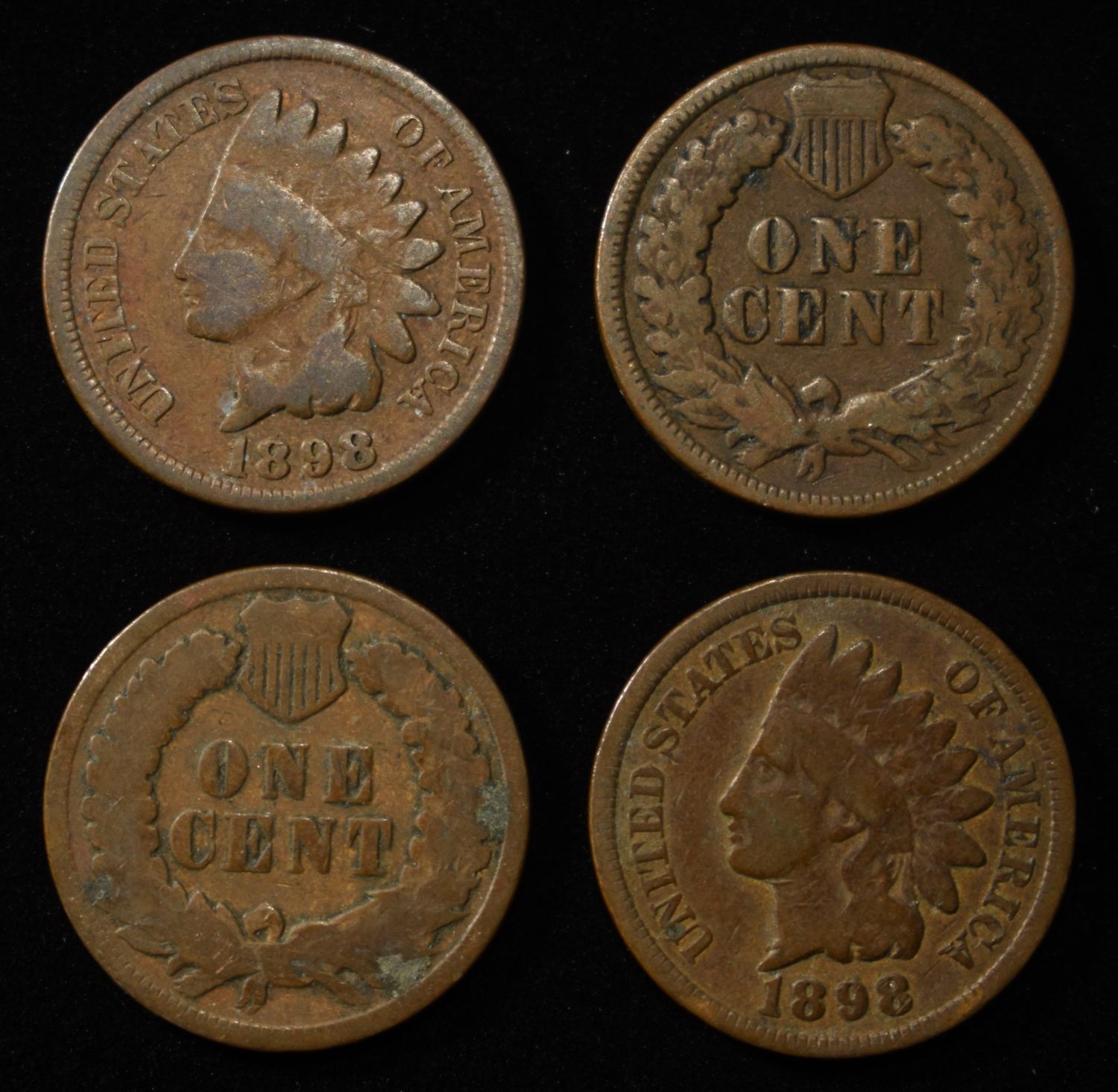 (50) INDIAN CENTS