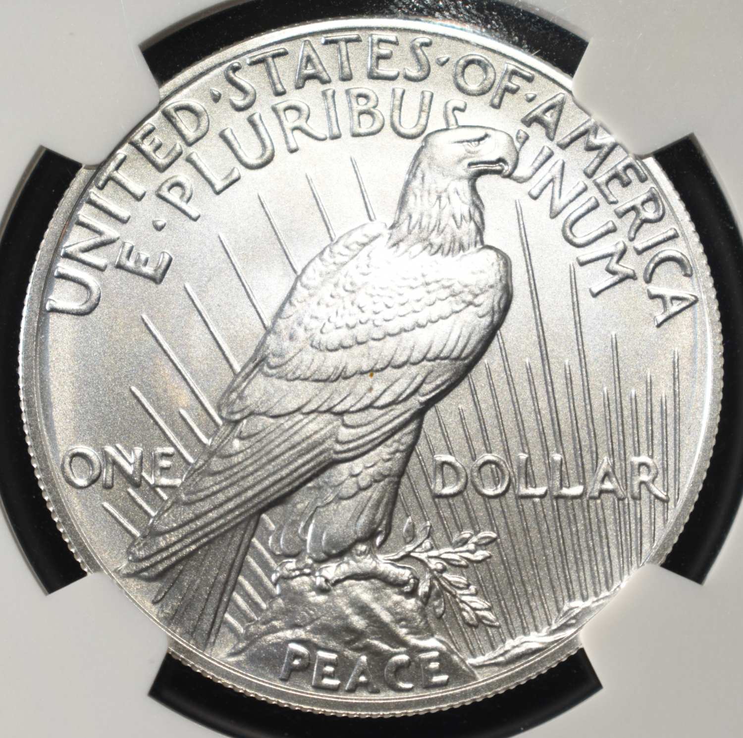 2024 PEACE DOLLAR NGC MS70 EARLY RELEASES