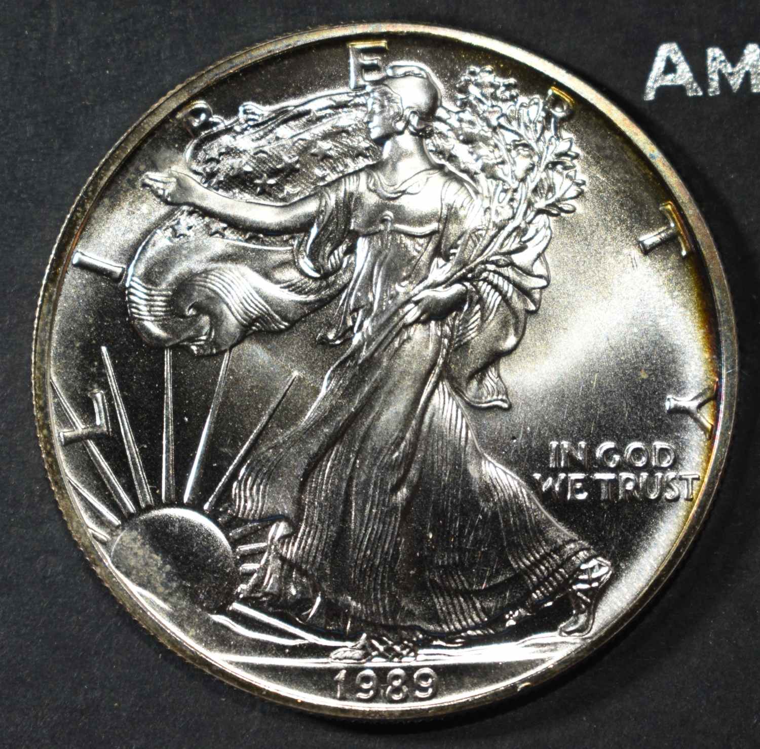 1989 AMERICAN SILVER EAGLE