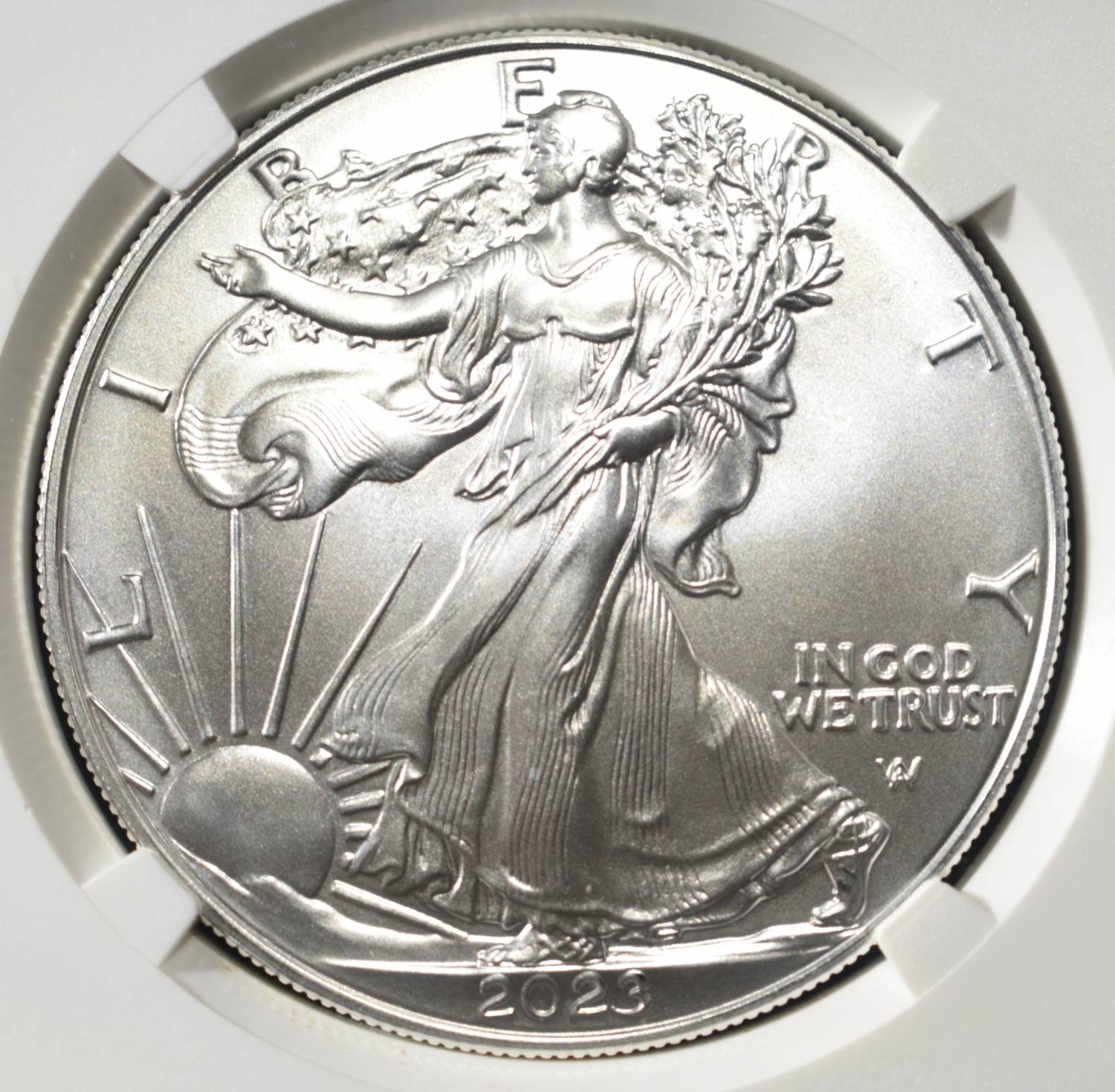 2023 AMERICAN SILVER EAGLE NGC MS69