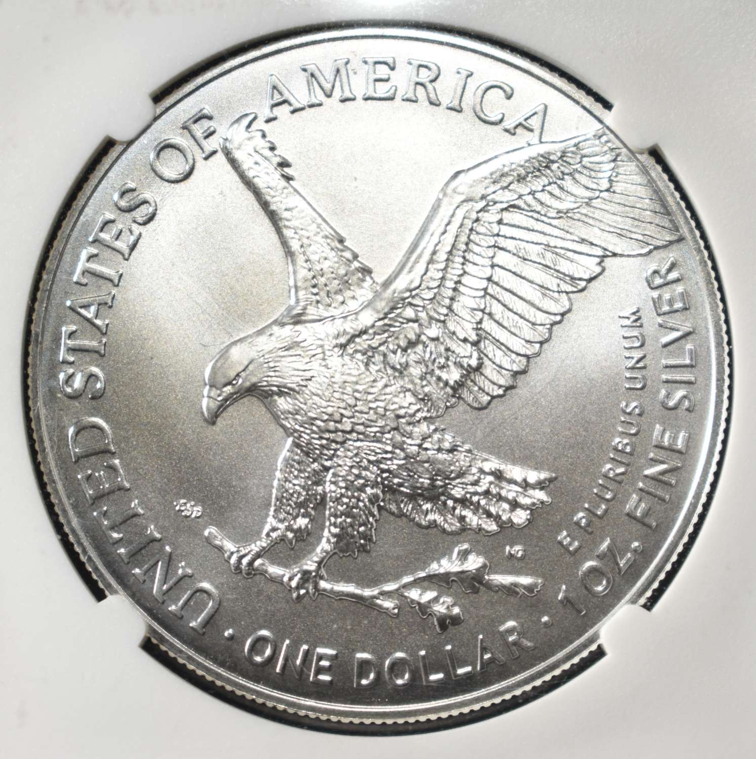 2024(P) AMERICAN SILVER EAGLE NGC MS70 STAR PRIVY