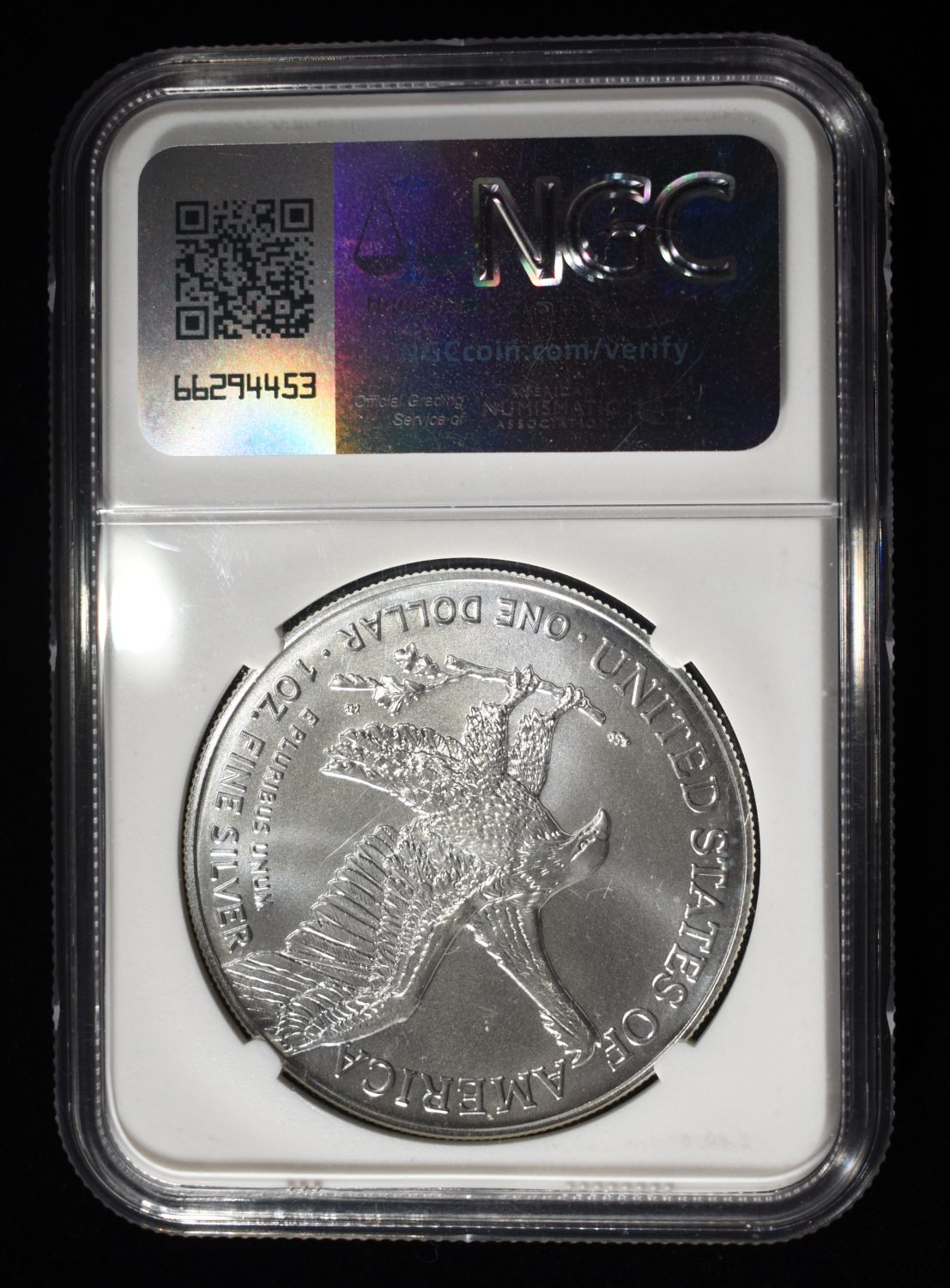 2024(P) AMERICAN SILVER EAGLE NGC MS70 STAR PRIVY