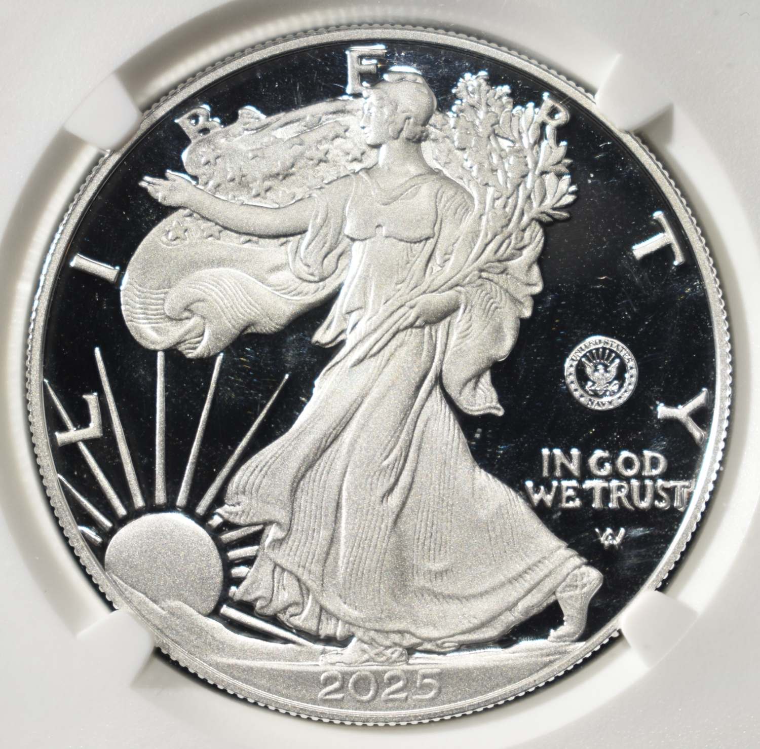 2025-S AMERICAN SILVER EAGLE PF 70 ULTRA CAMEO NGC