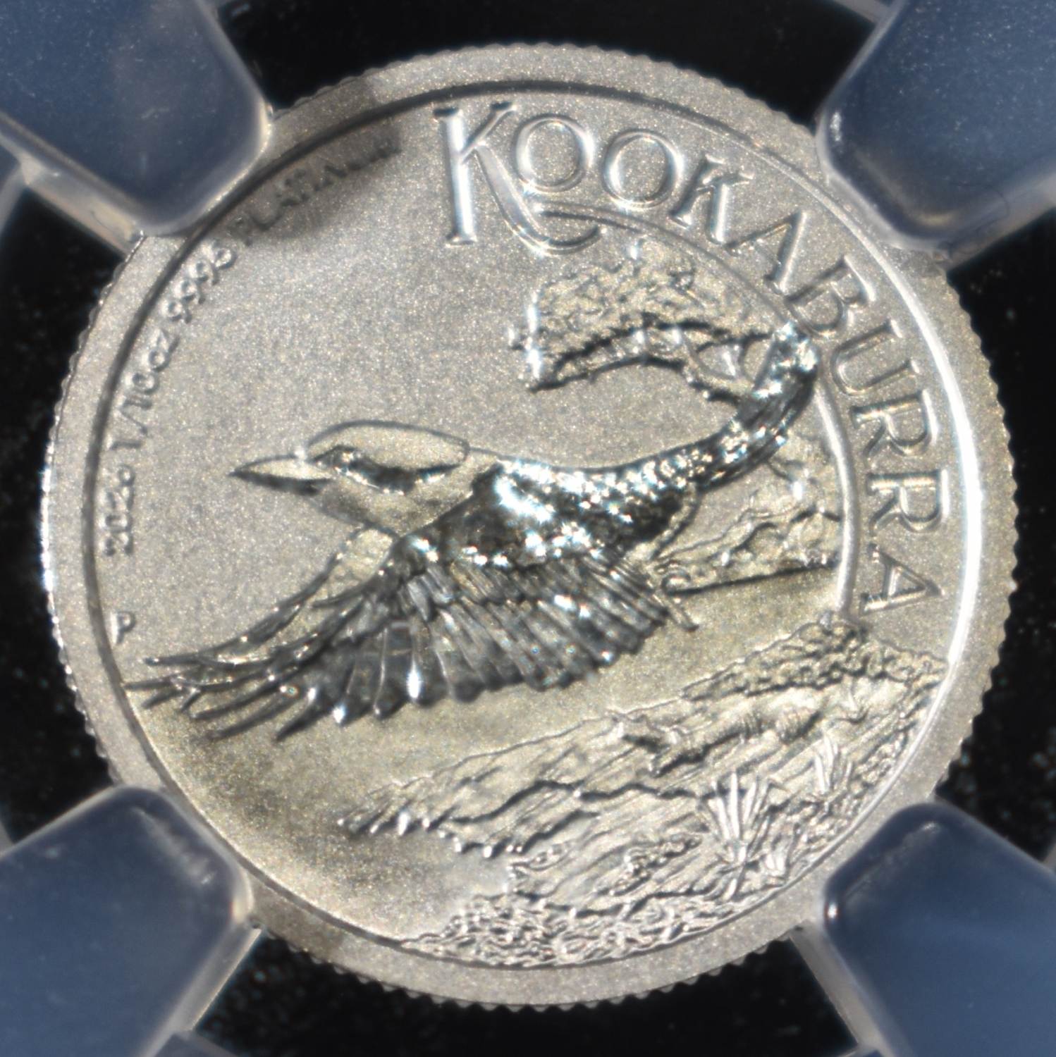 2026-P $15 PLATINUM AUSTRALIA 1/10TH OZ NGC MS70