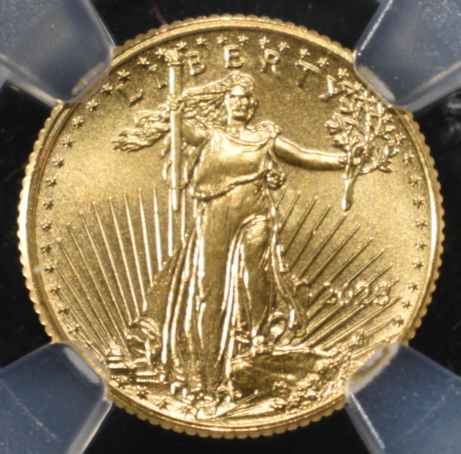 2023 1/10 OZ GOLD EAGLE NGC MS-69