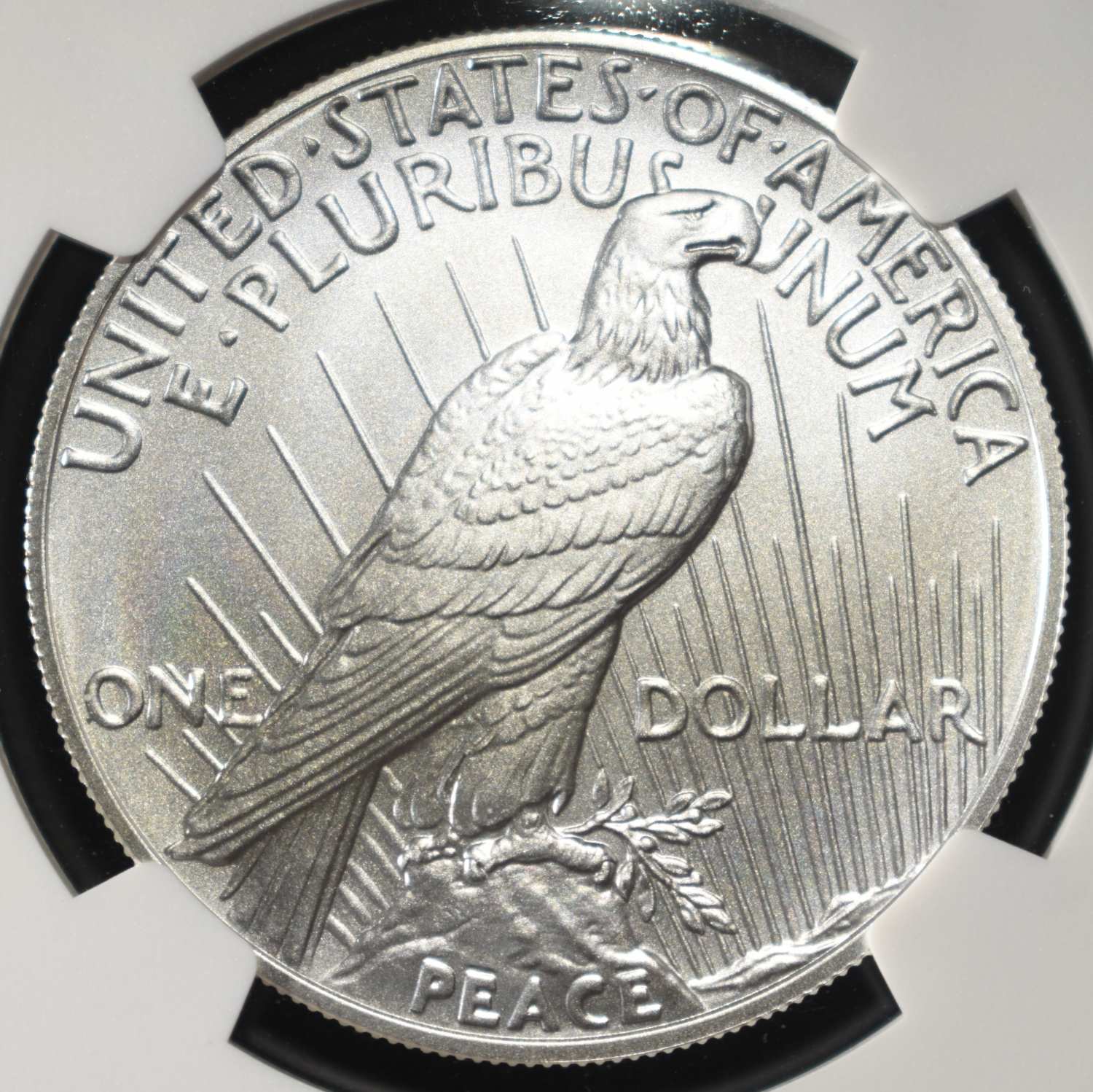 2024 PEACE DOLLAR NGC MS70 EARLY RELEASES