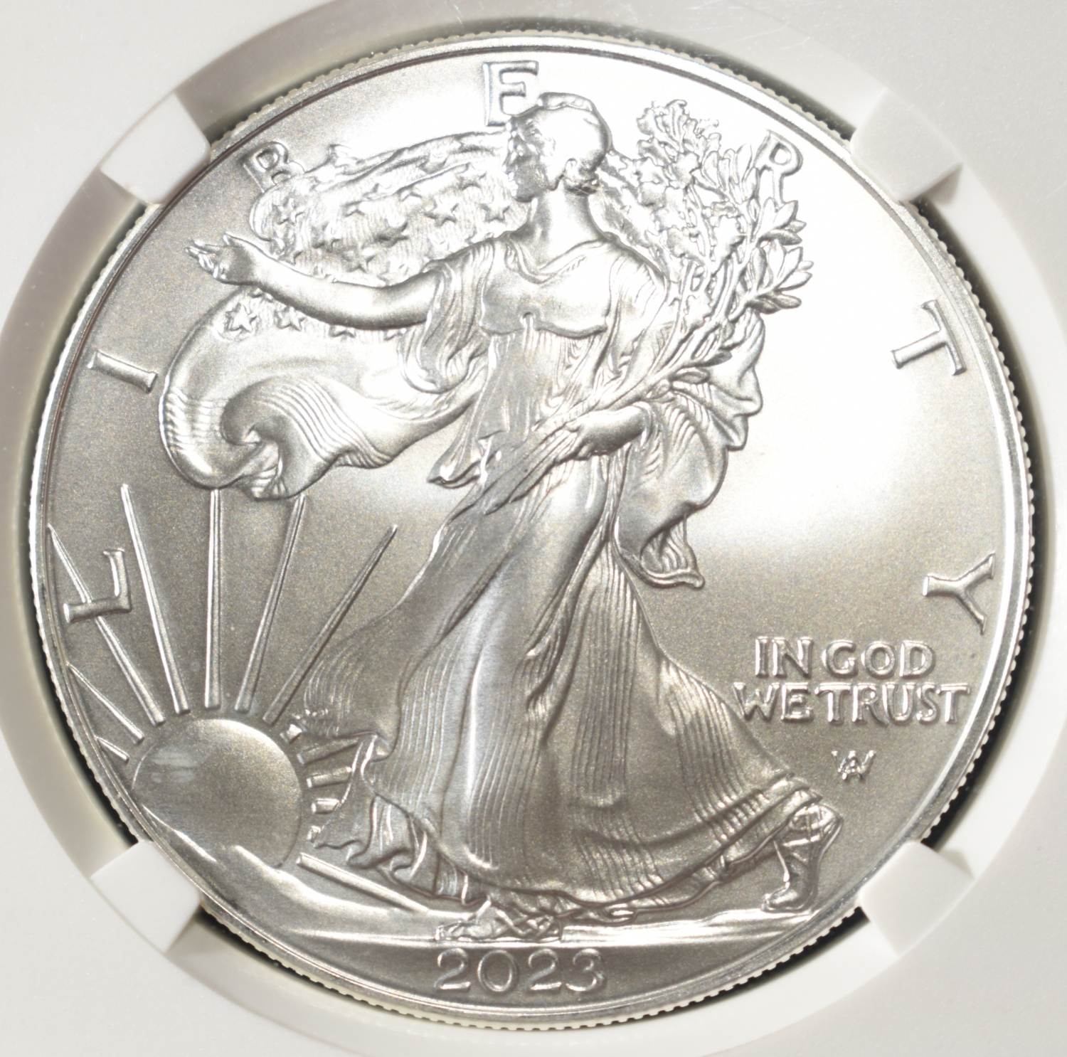 2023 AMERICAN SILVER EAGLE NGC MS70