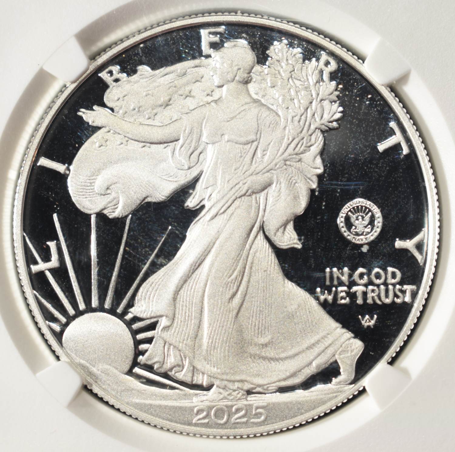 2025-S AMERICAN SILVER EAGLE PF 70 ULTRA CAMEO NGC
