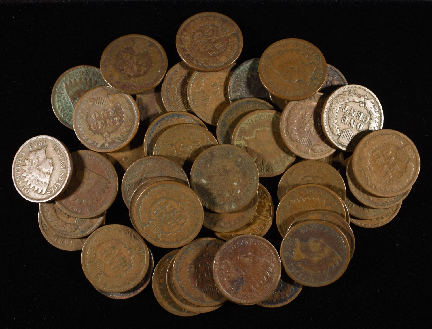 (50) INDIAN CENTS