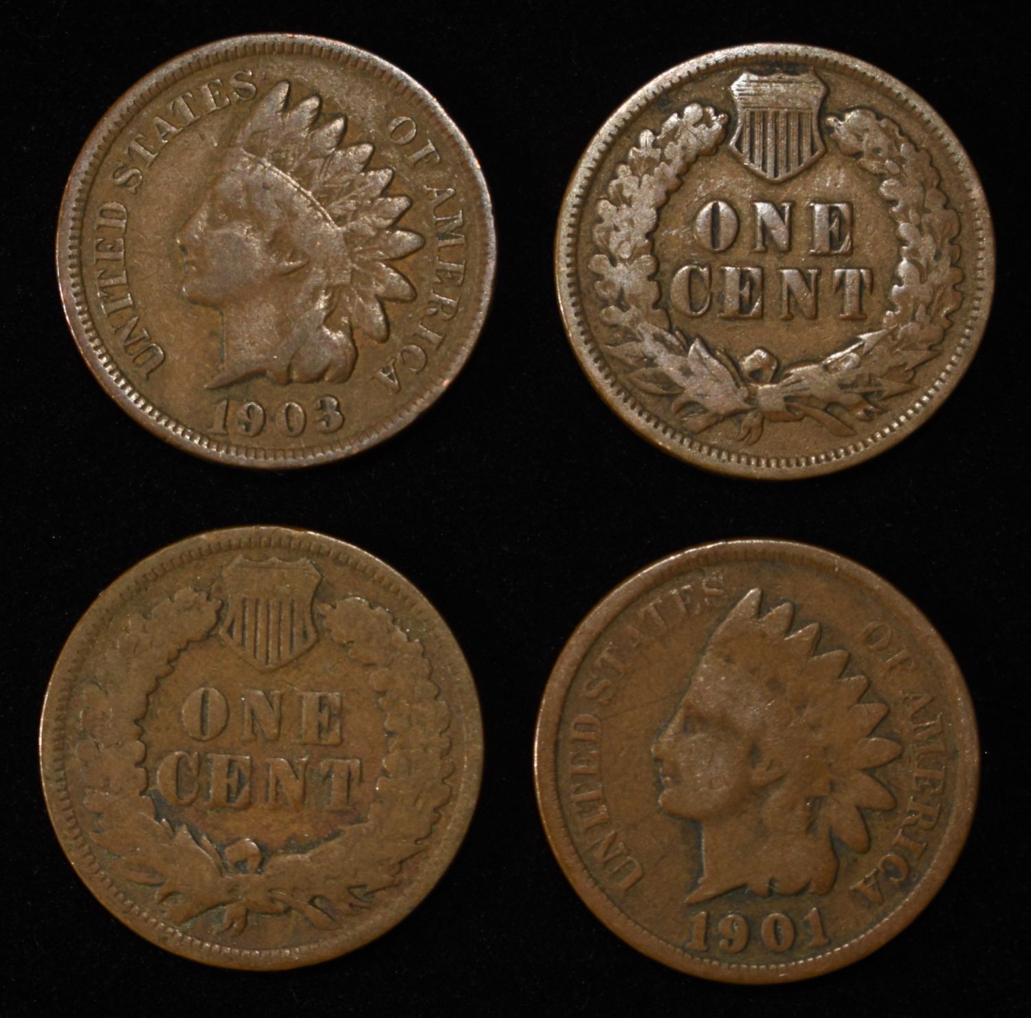 (50) INDIAN CENTS