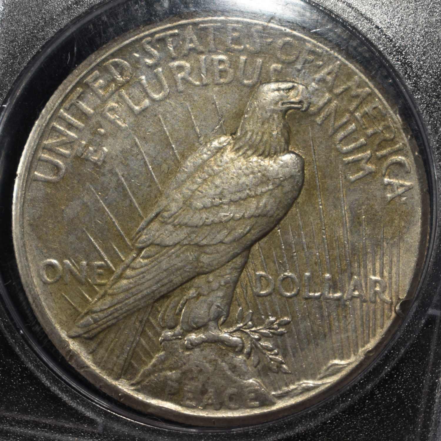 1925 PEACE DOLLAR NO-FEATHERS