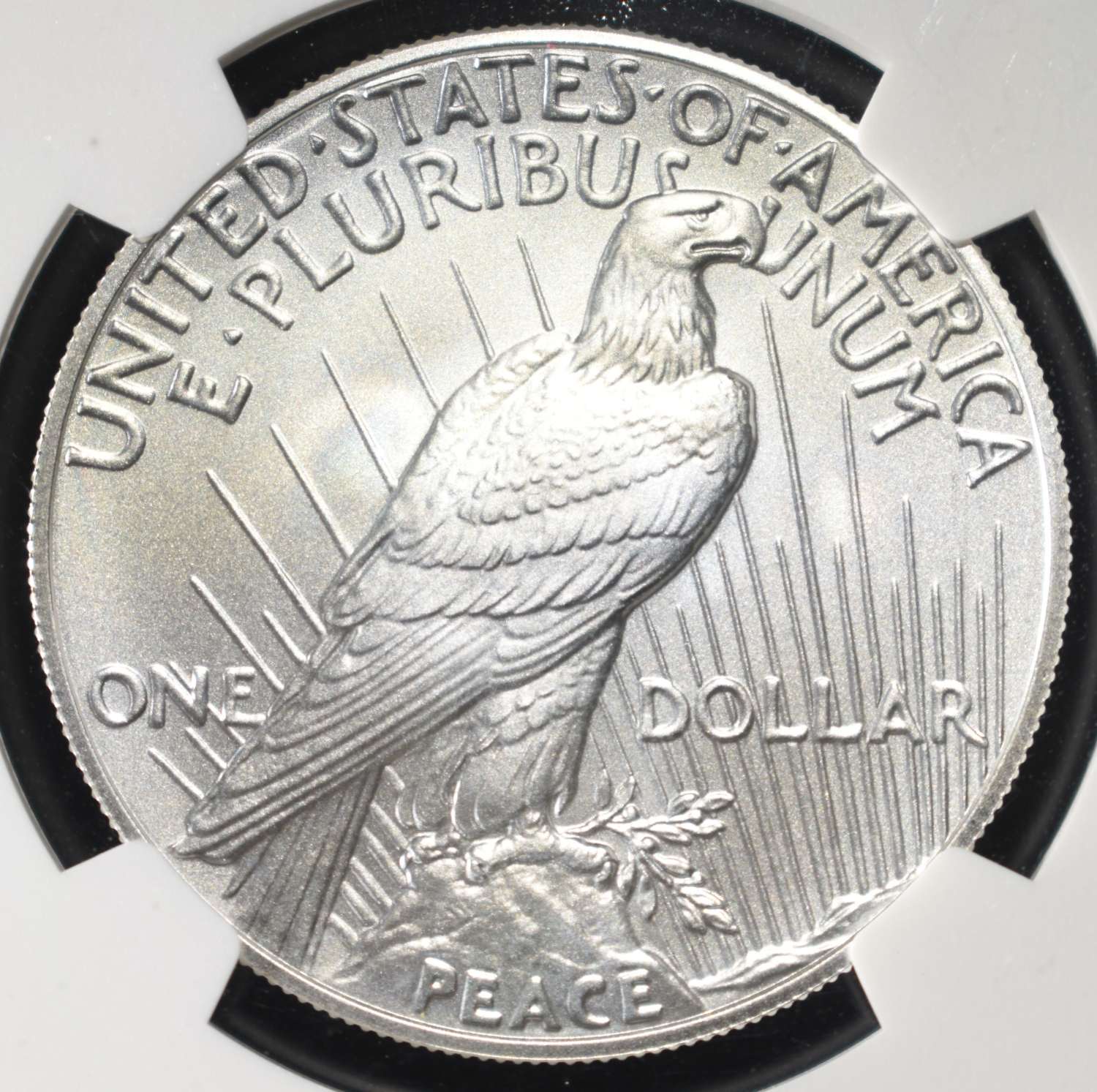 2024 PEACE DOLLAR NGC MS70 EARLY RELEASES