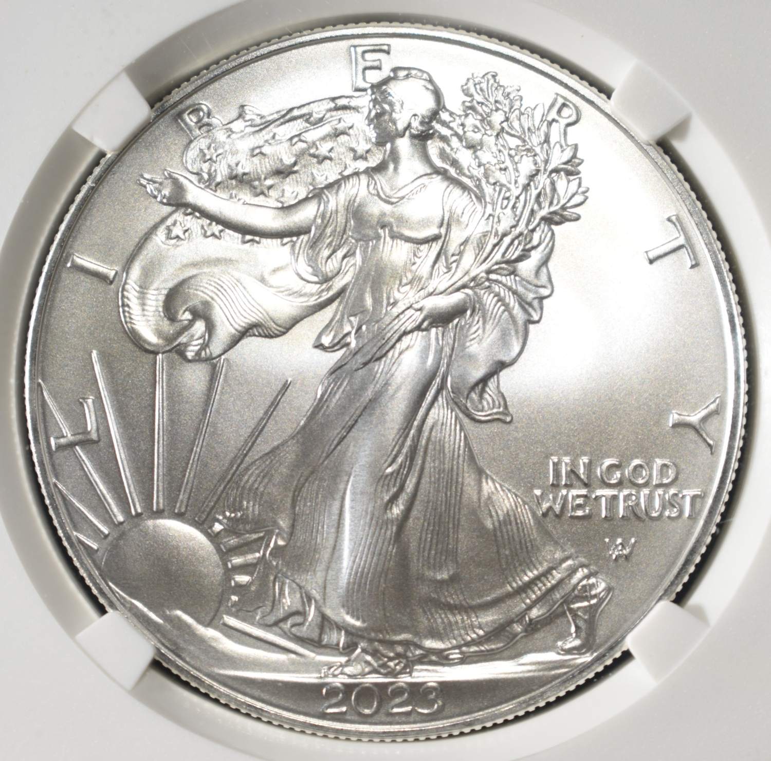 2023 AMERICAN SILVER EAGLE NGC MS70