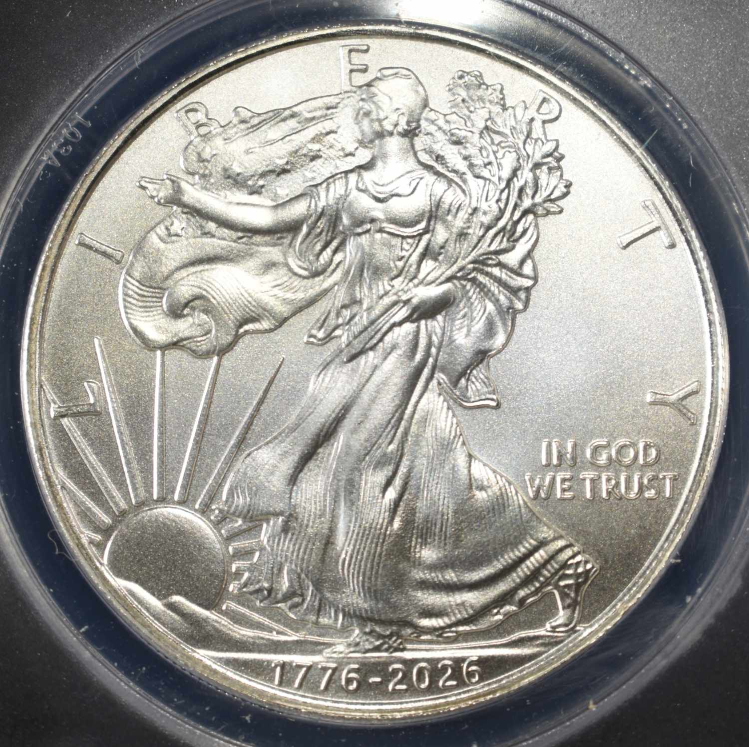 "1776-2026" CONCEPT DOLLAR 1 OZ .999 ANACS MS69