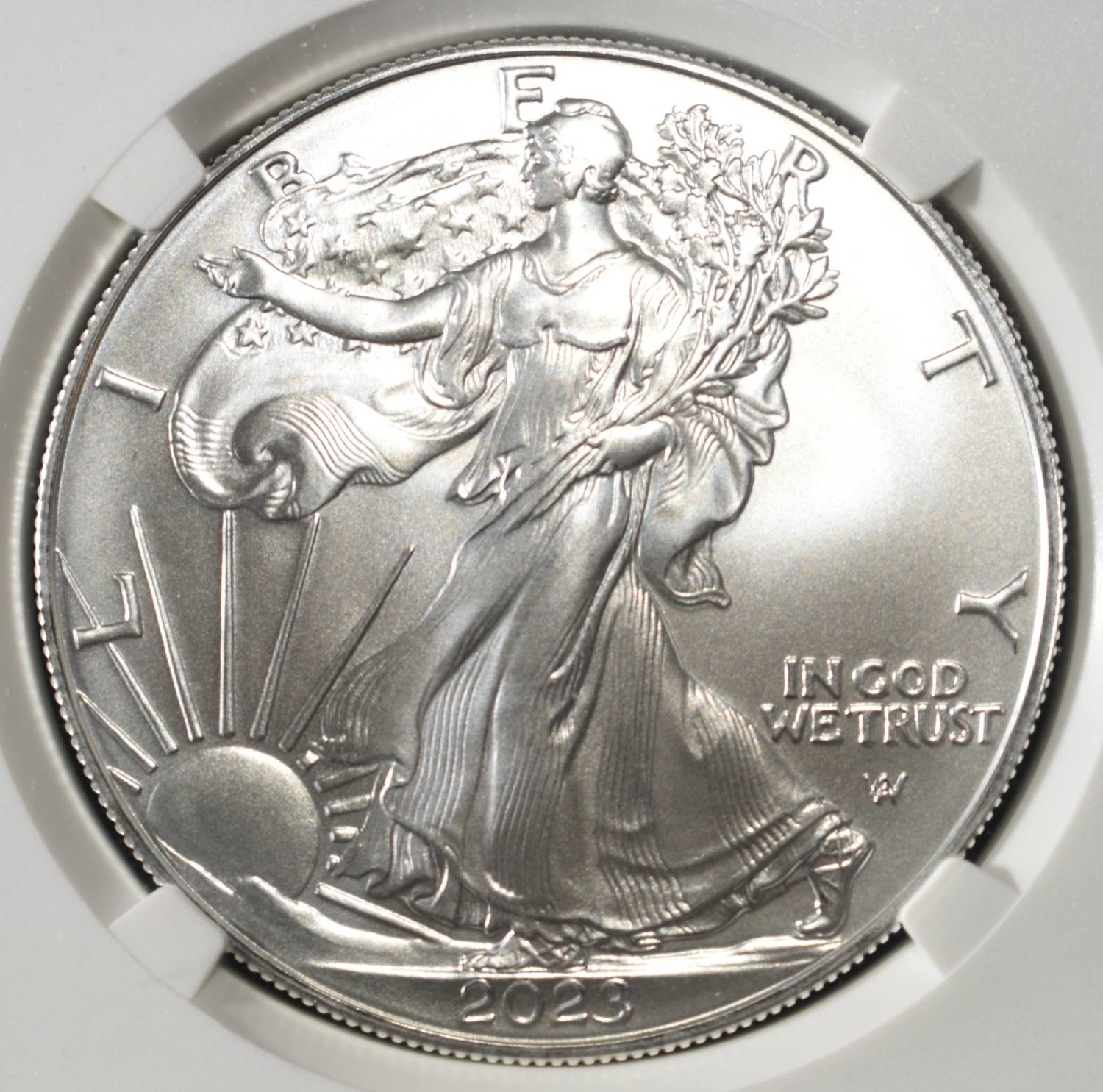 2023 AMERICAN SILVER EAGLE NGC MS70