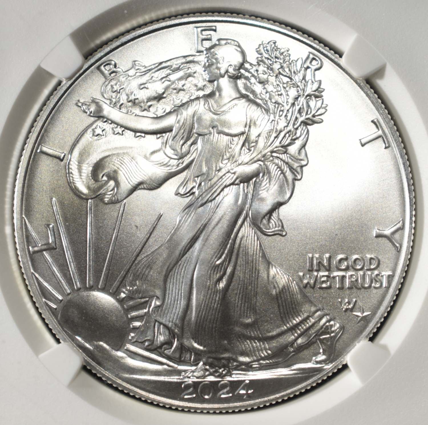 2024 AMERICAN SILVER EAGLE NGC MS70 STAR PRIVY