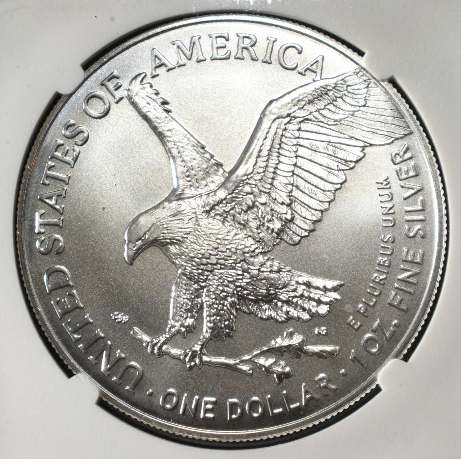 2024 AMERICAN SILVER EAGLE NGC MS70 STAR PRIVY