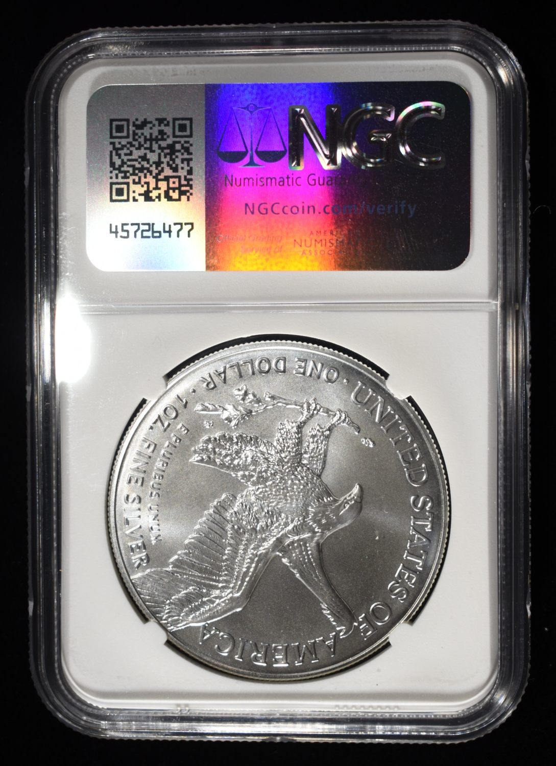 2024 AMERICAN SILVER EAGLE NGC MS70 STAR PRIVY