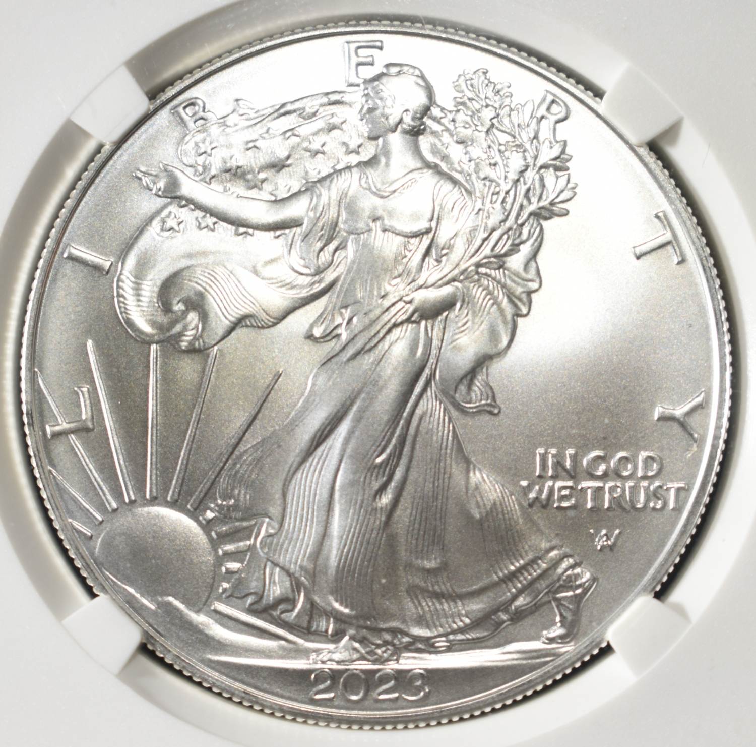 2023 AMERICAN SILVER EAGLE NGC MS70