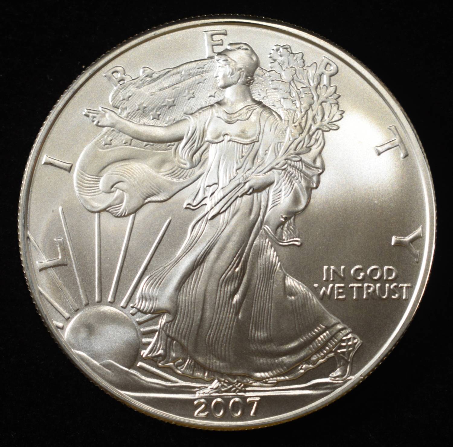 2007 AMERICAN SILVER EAGLE